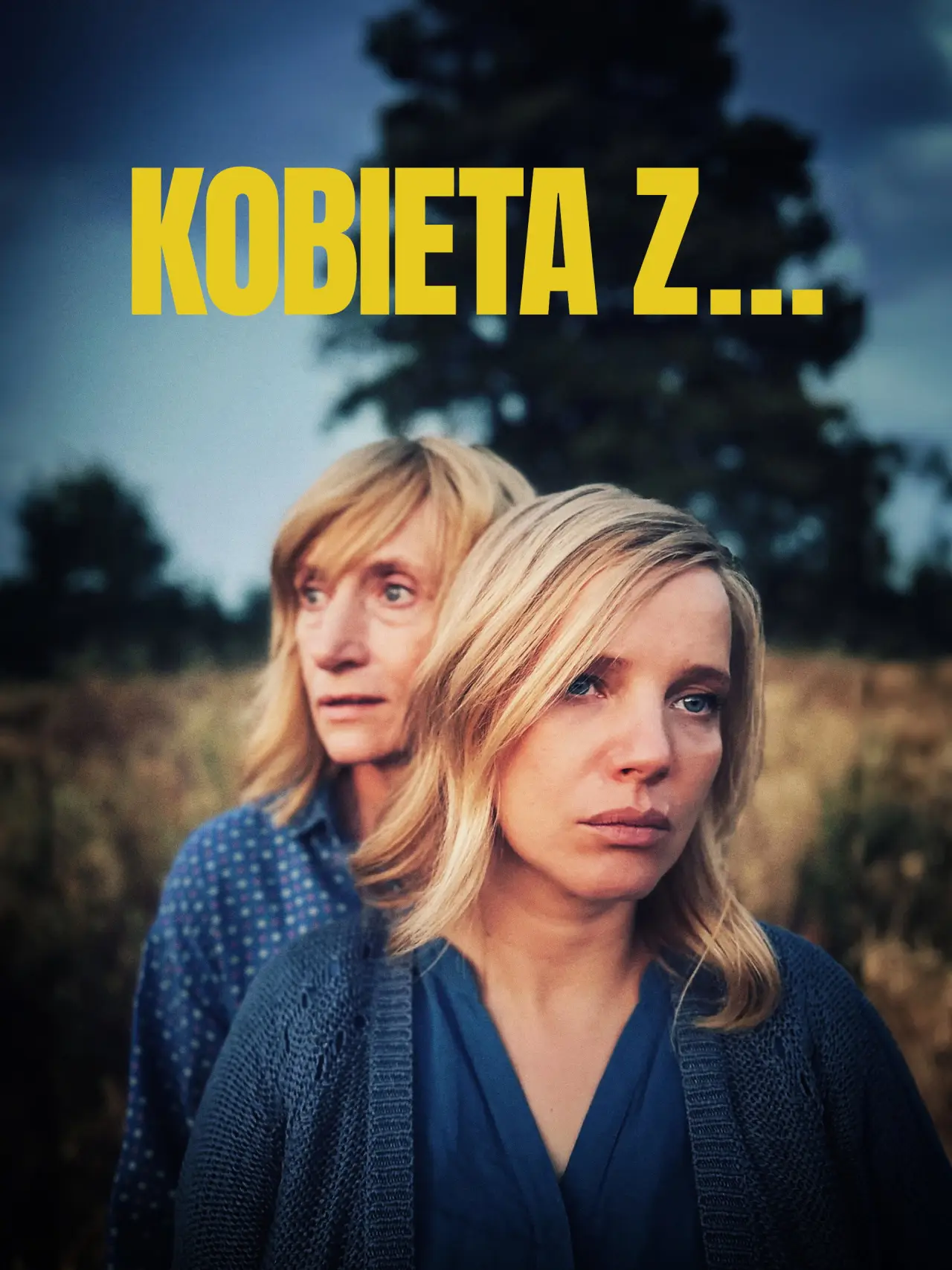 Plakat filmowy "Kobieta z..."