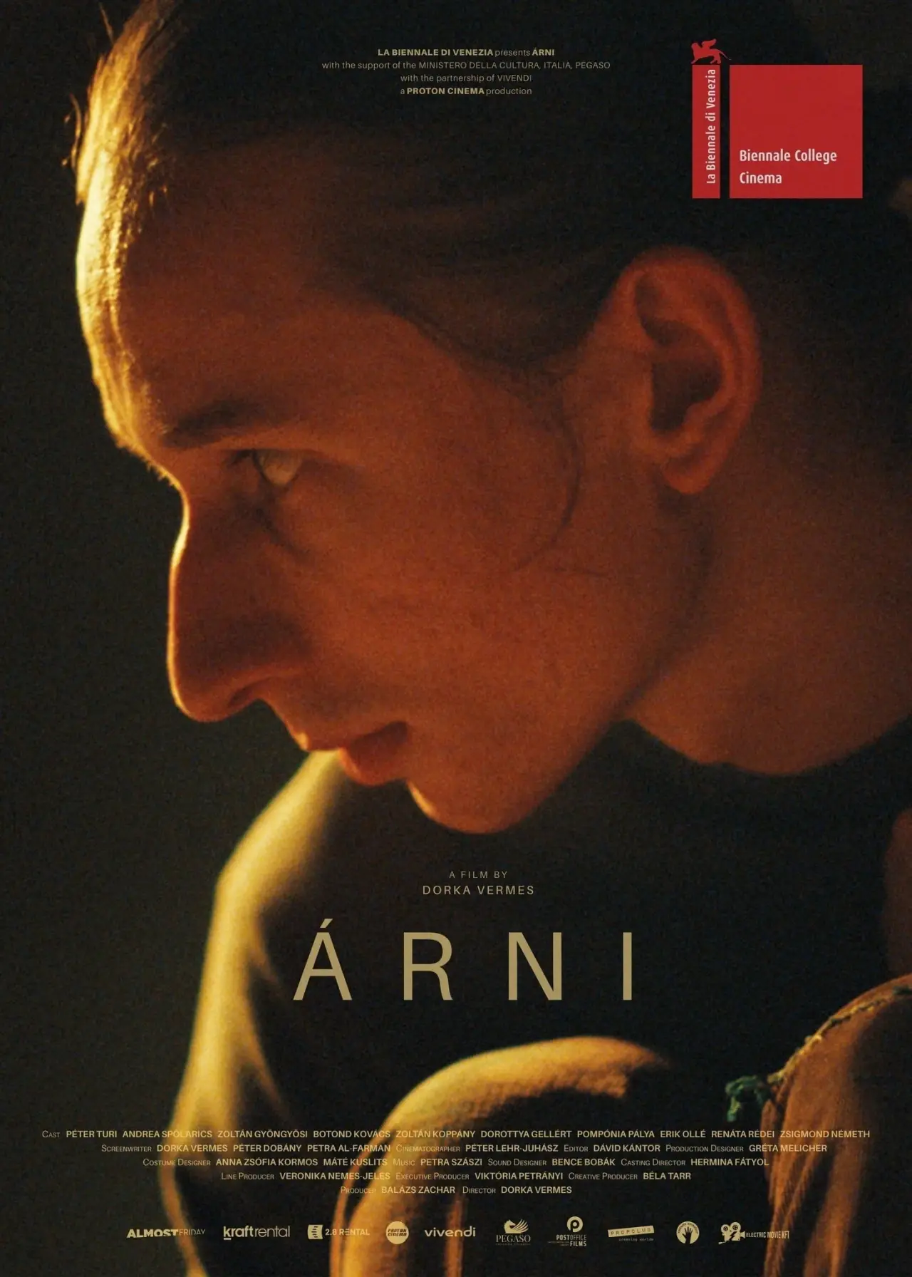 Plakat filmowy "Árni"