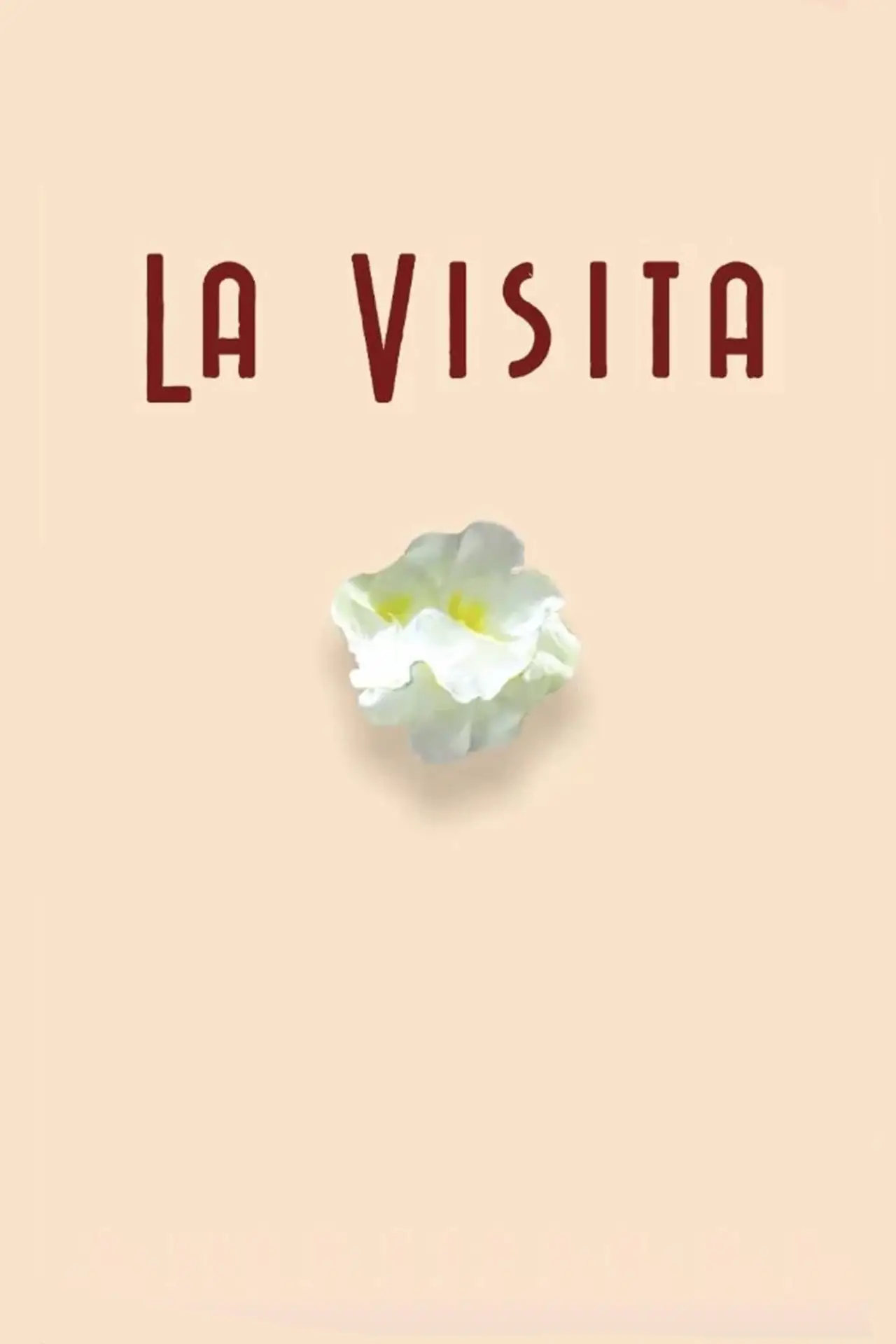 Plakat filmowy "La visita"
