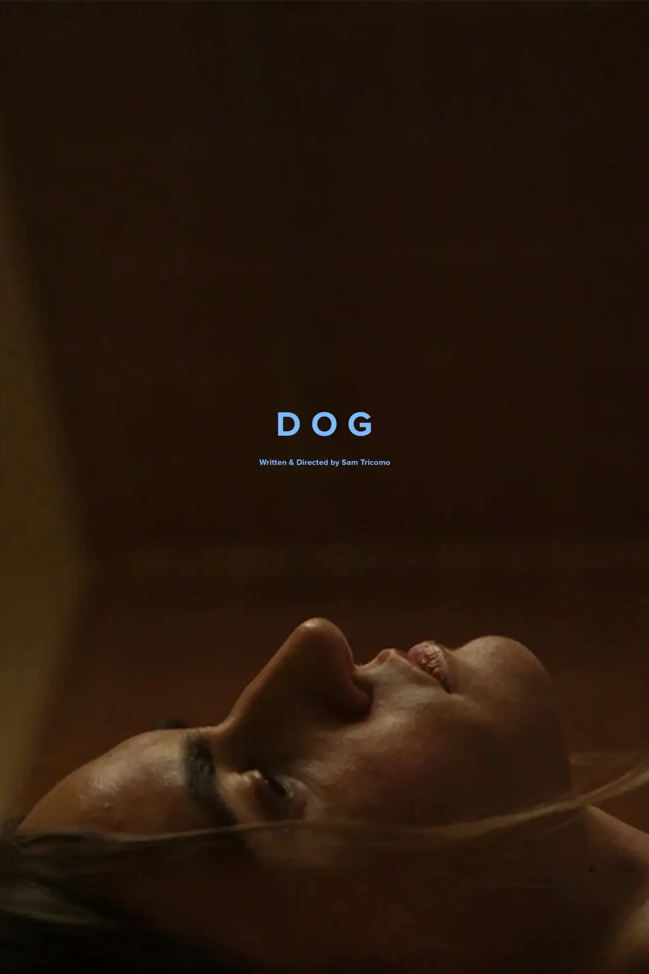 Plakat filmowy "Dog"
