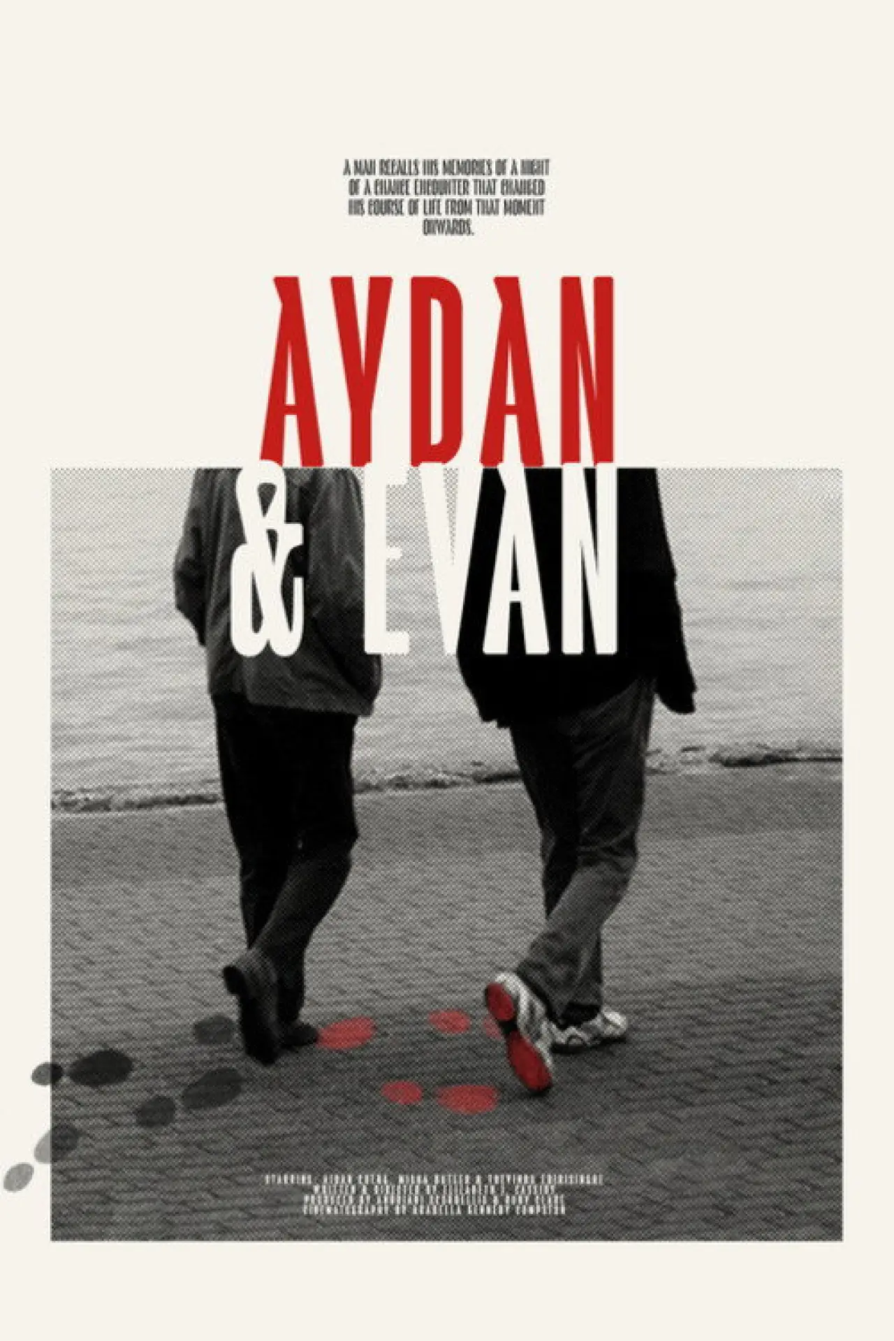 Plakat filmowy "Aydan & Evan"
