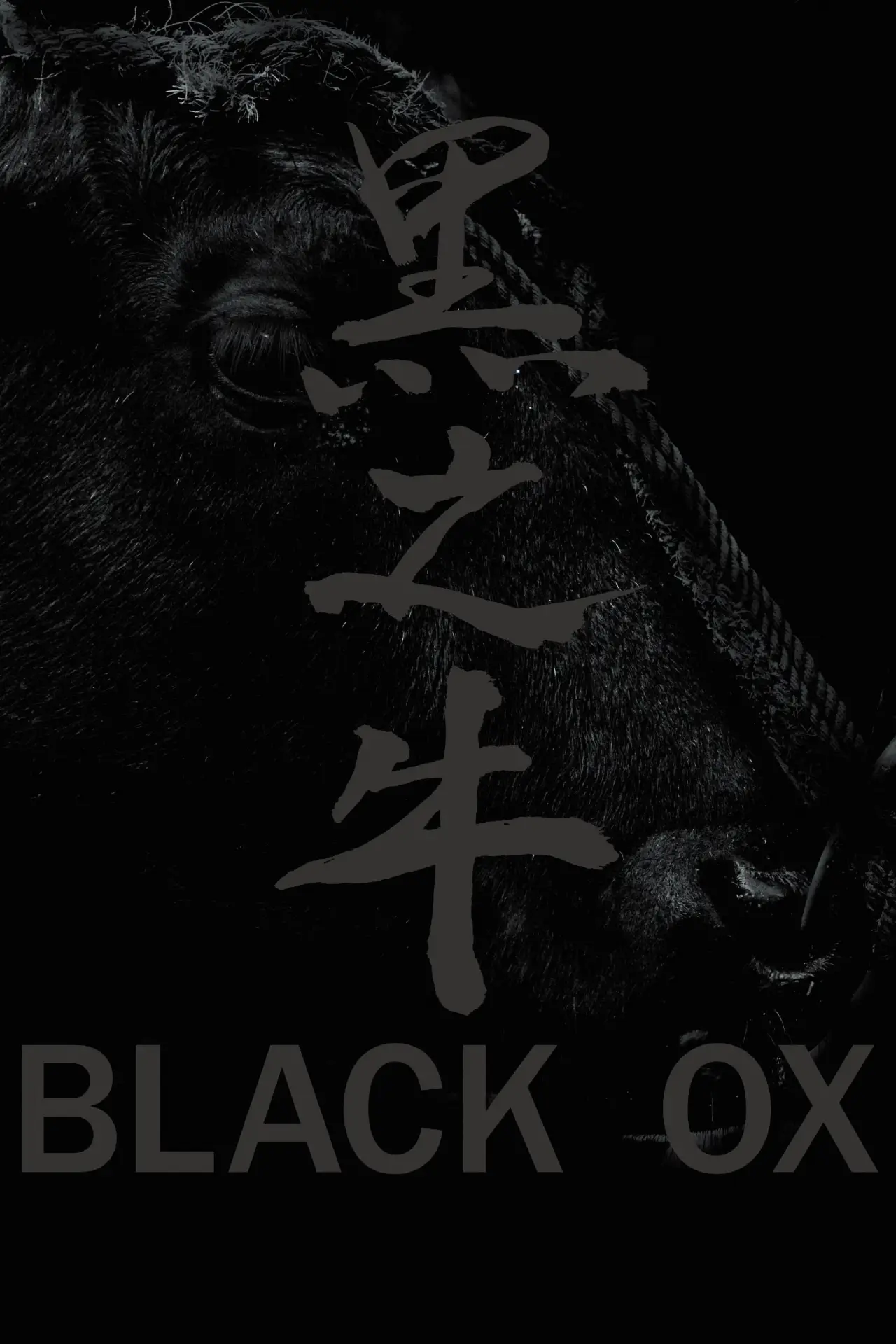Plakat filmowy "黒の牛"
