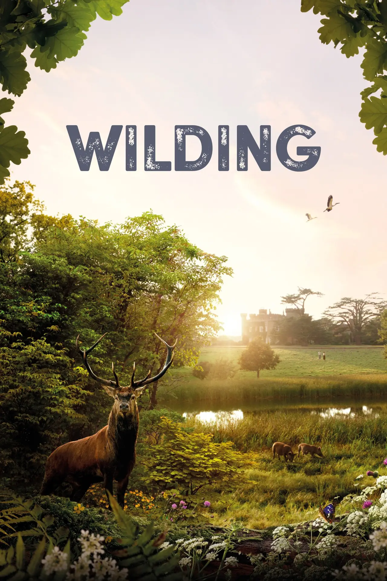 Plakat filmowy "Wilding"