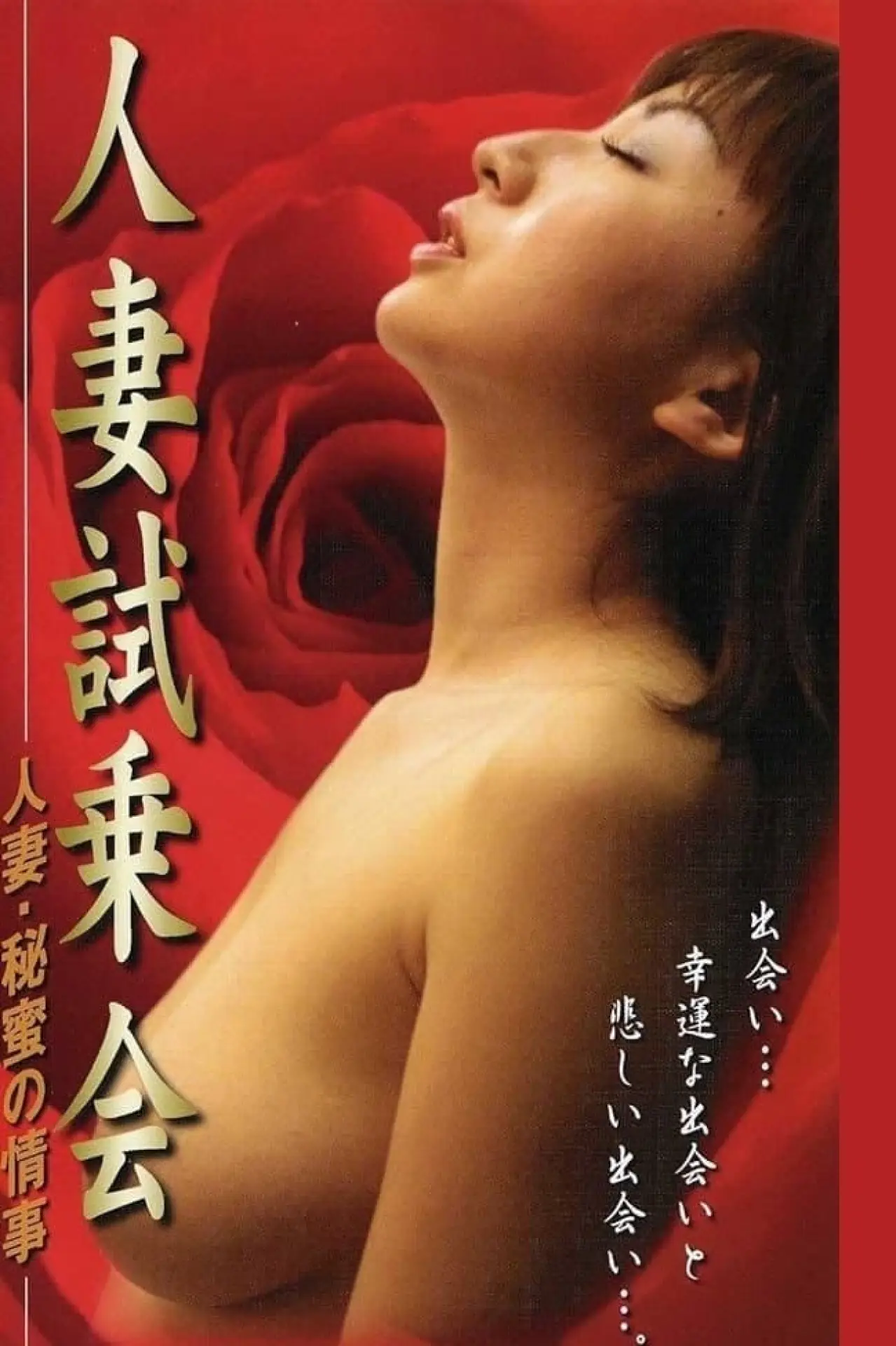 Plakat filmowy "人妻试乘会 秘密恋情"