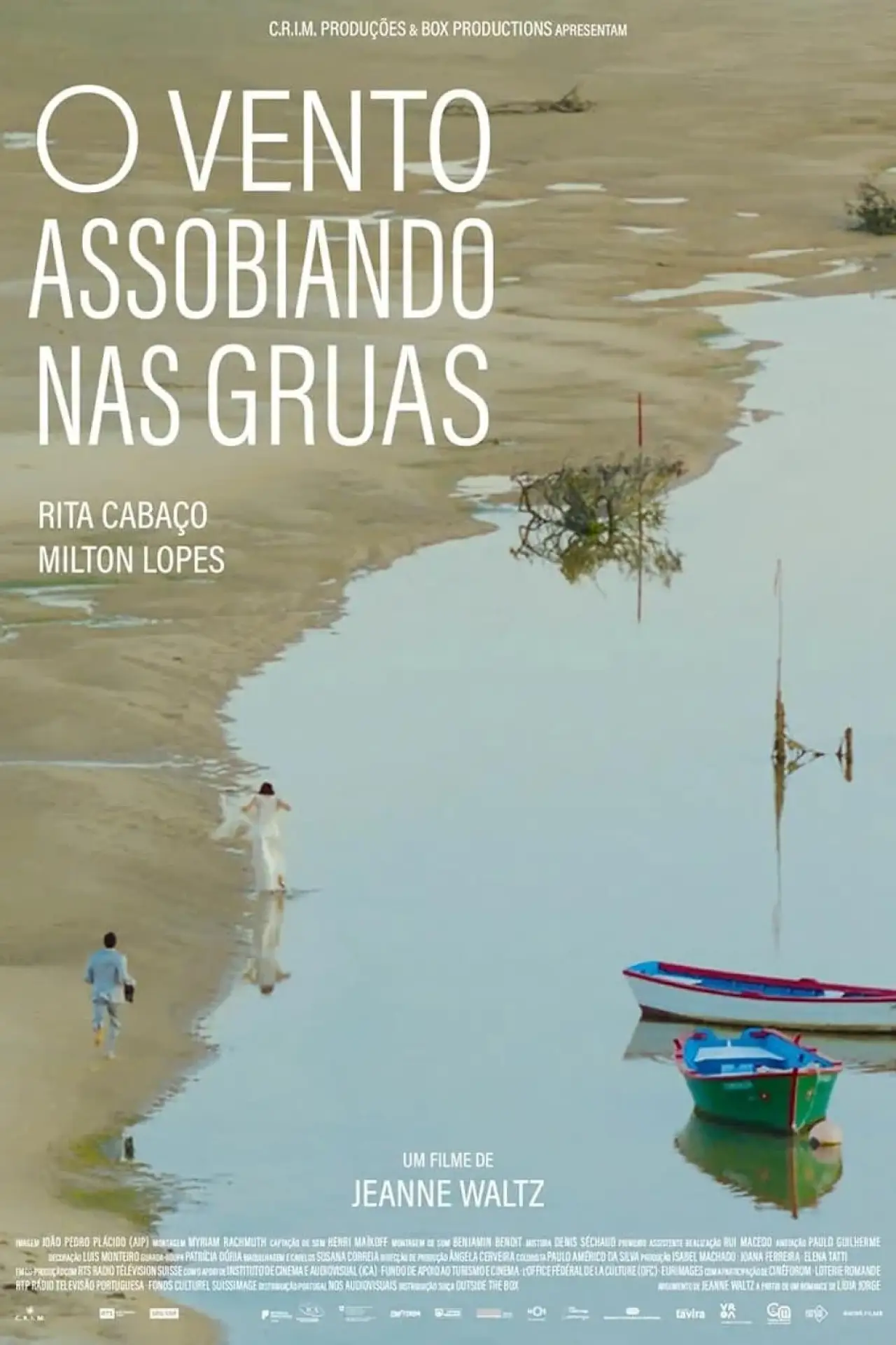 Plakat filmowy "O Vento Assobiando nas Gruas"