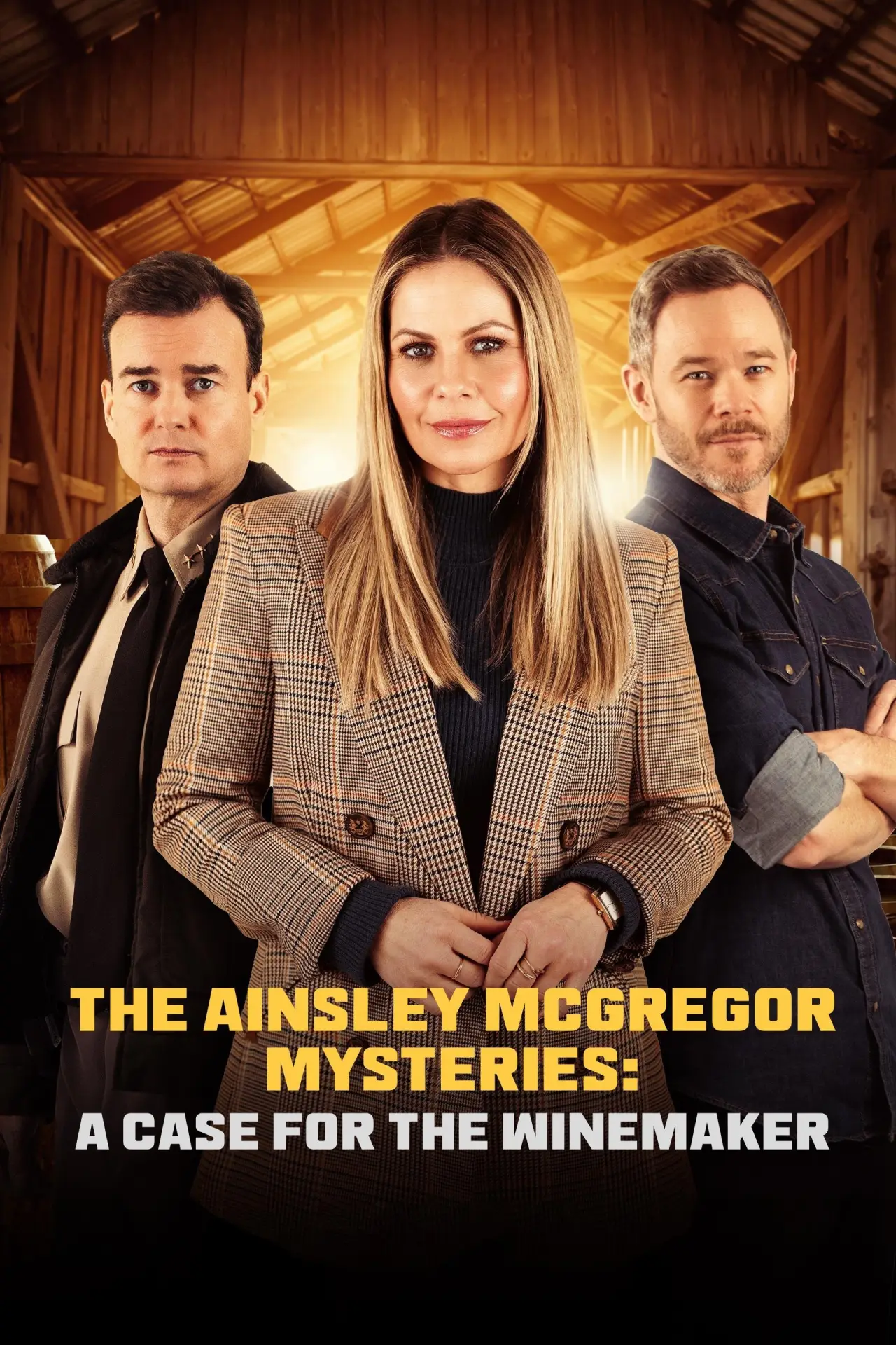 Plakat filmowy "The Ainsley McGregor Mysteries: A Case for the Winemaker"