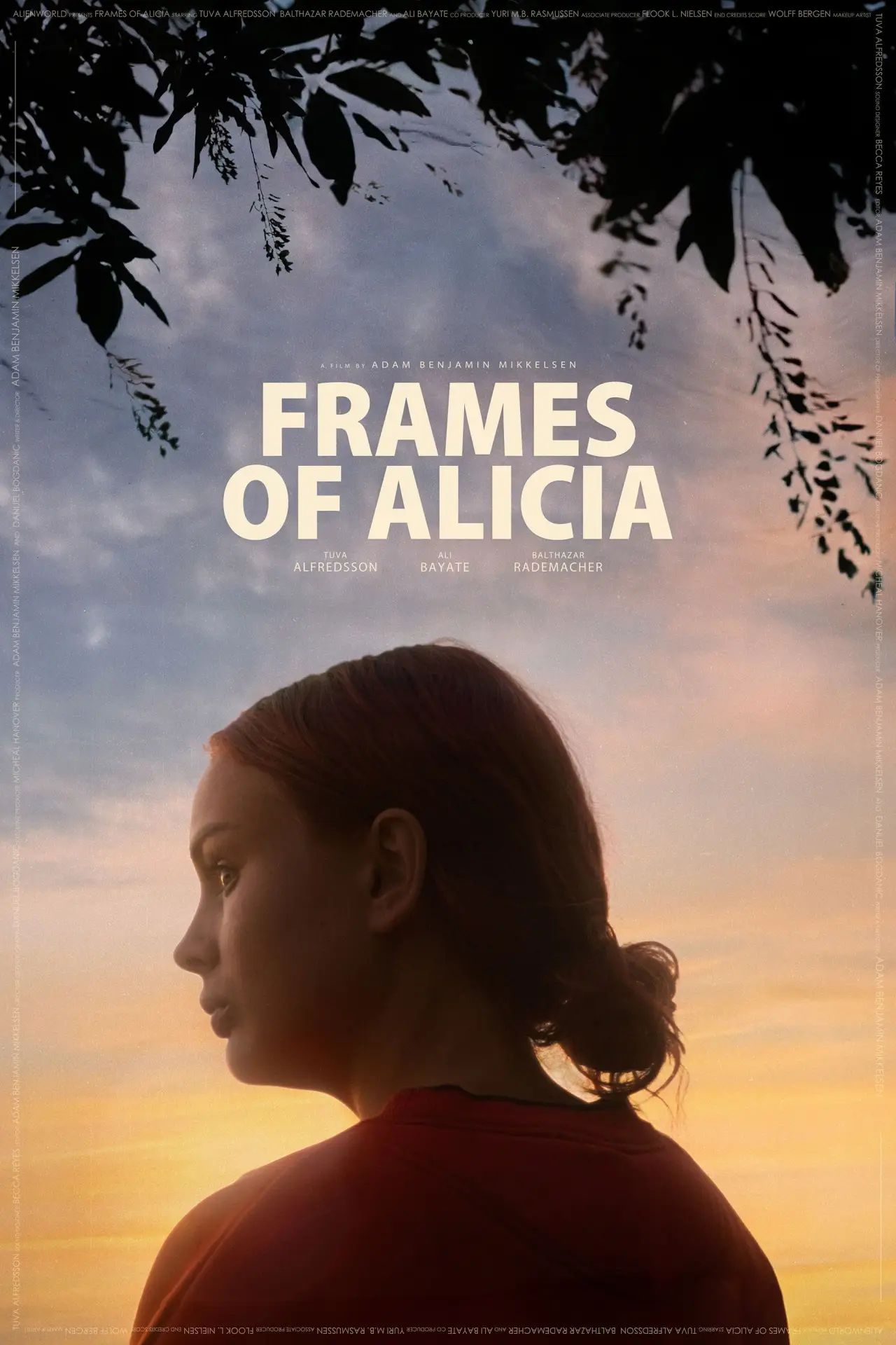 Plakat filmowy "Frames of Alicia"