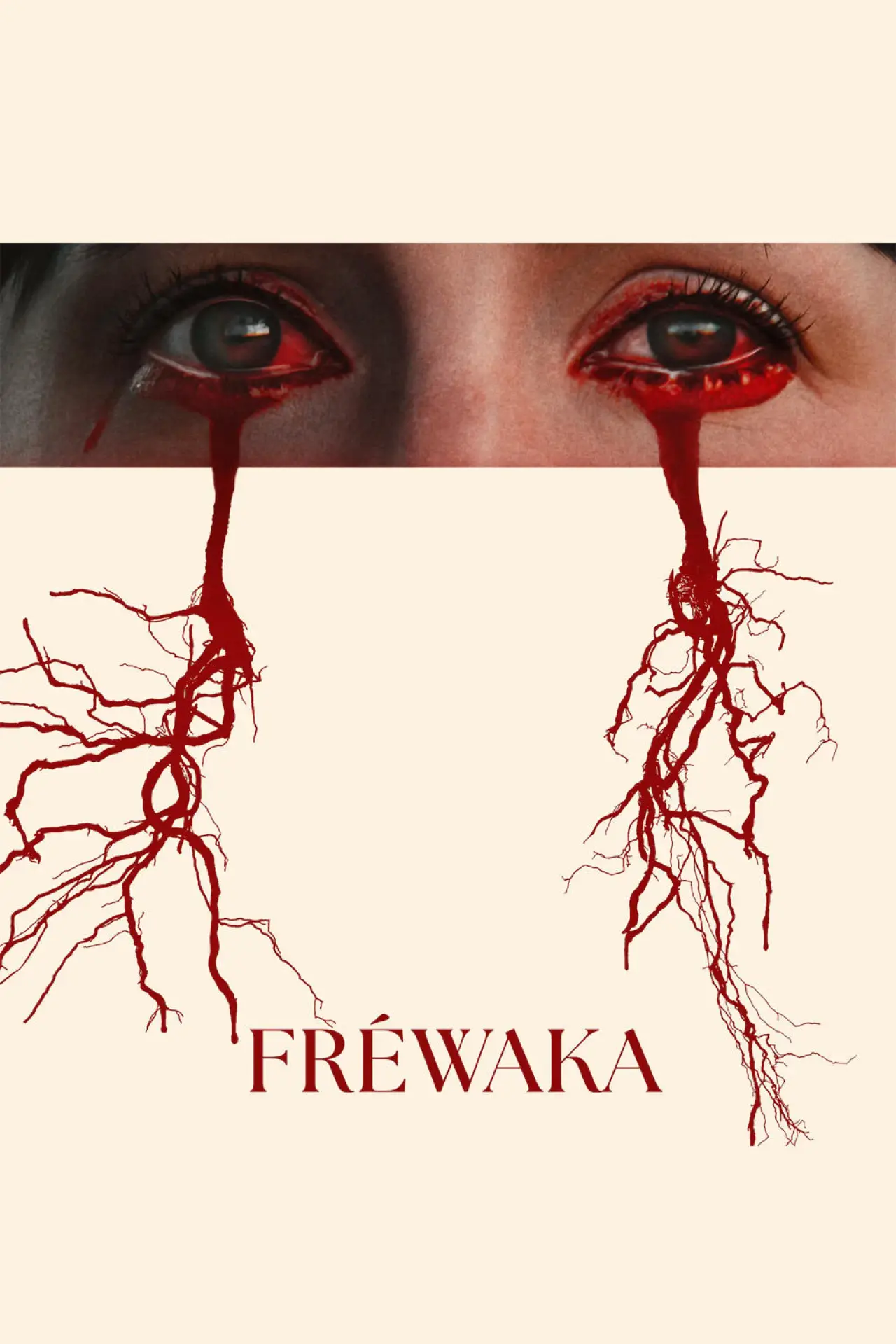 Plakat filmowy "Fréamhacha"