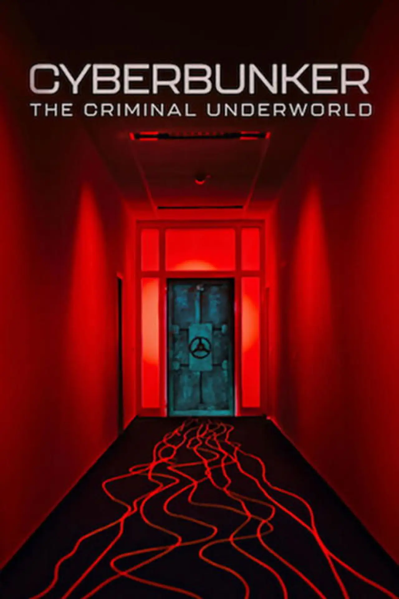 Plakat filmowy "CyberBunker: Przestępcze podziemie"