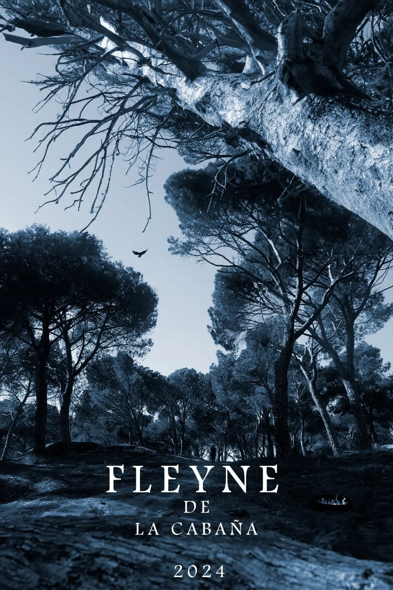Plakat filmowy "Fleyne: La Paloma Abandonada"