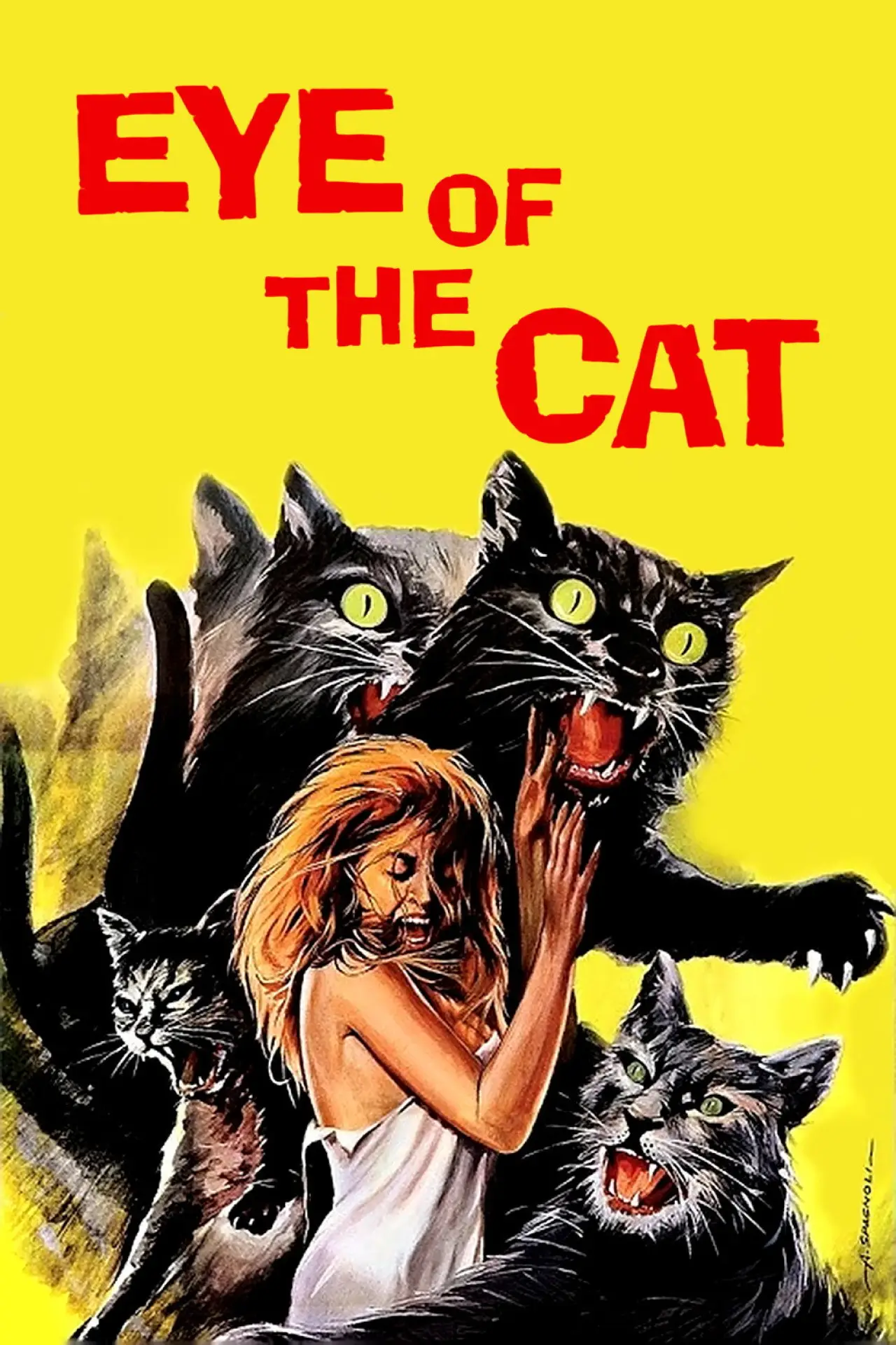 Plakat filmowy "Eye of the Cat"