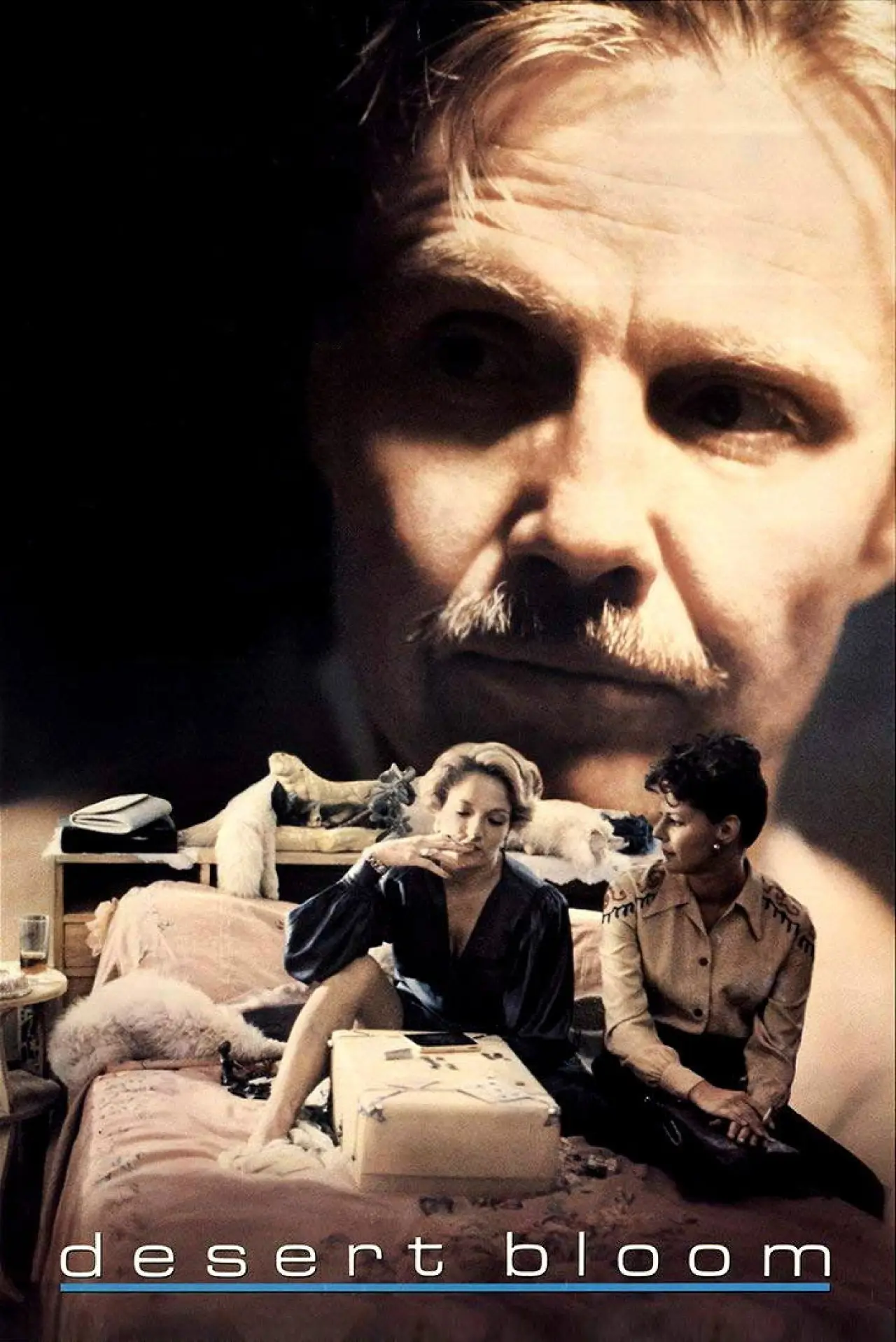 Plakat filmowy "Desert Bloom"