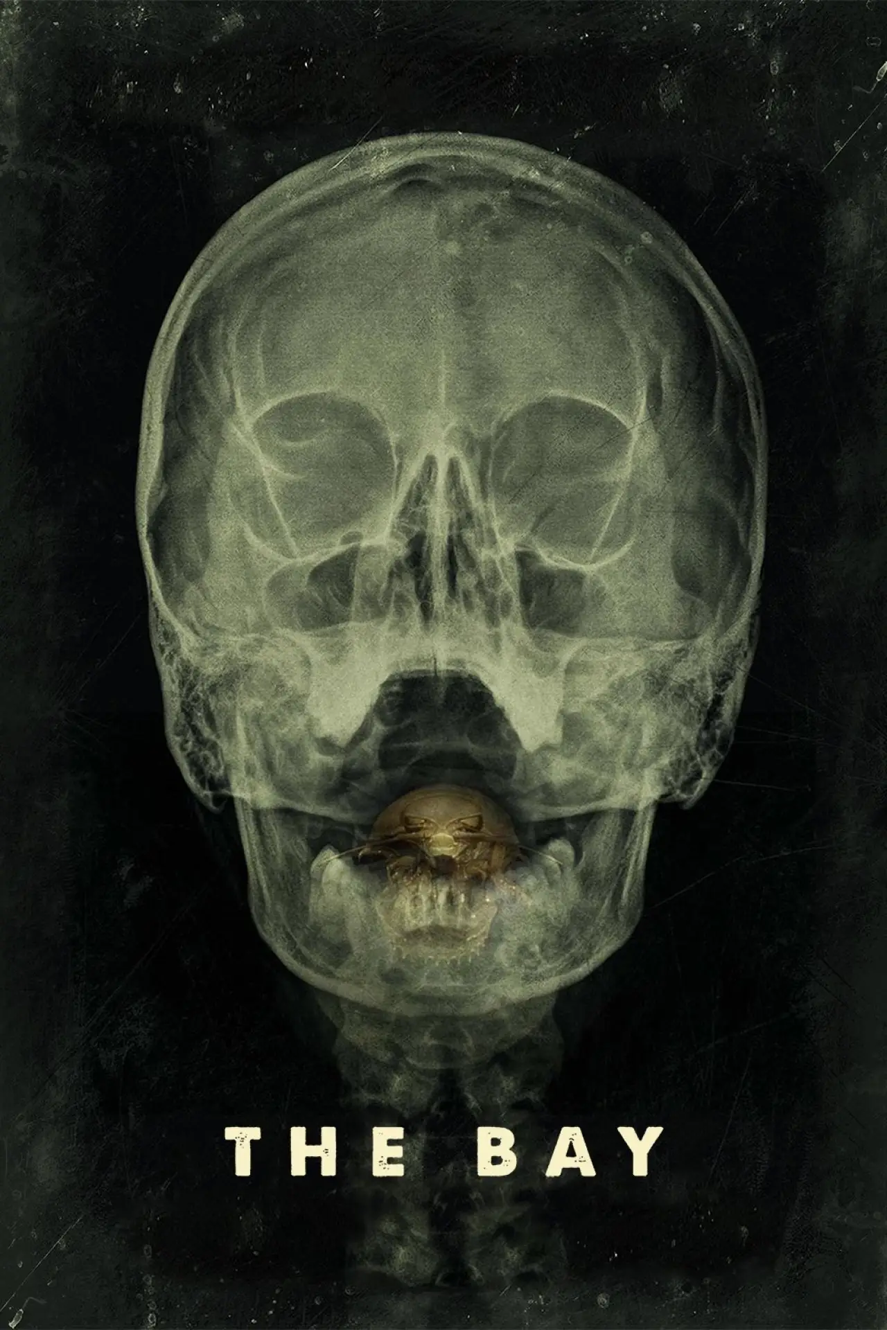Plakat filmowy "Zatoka"
