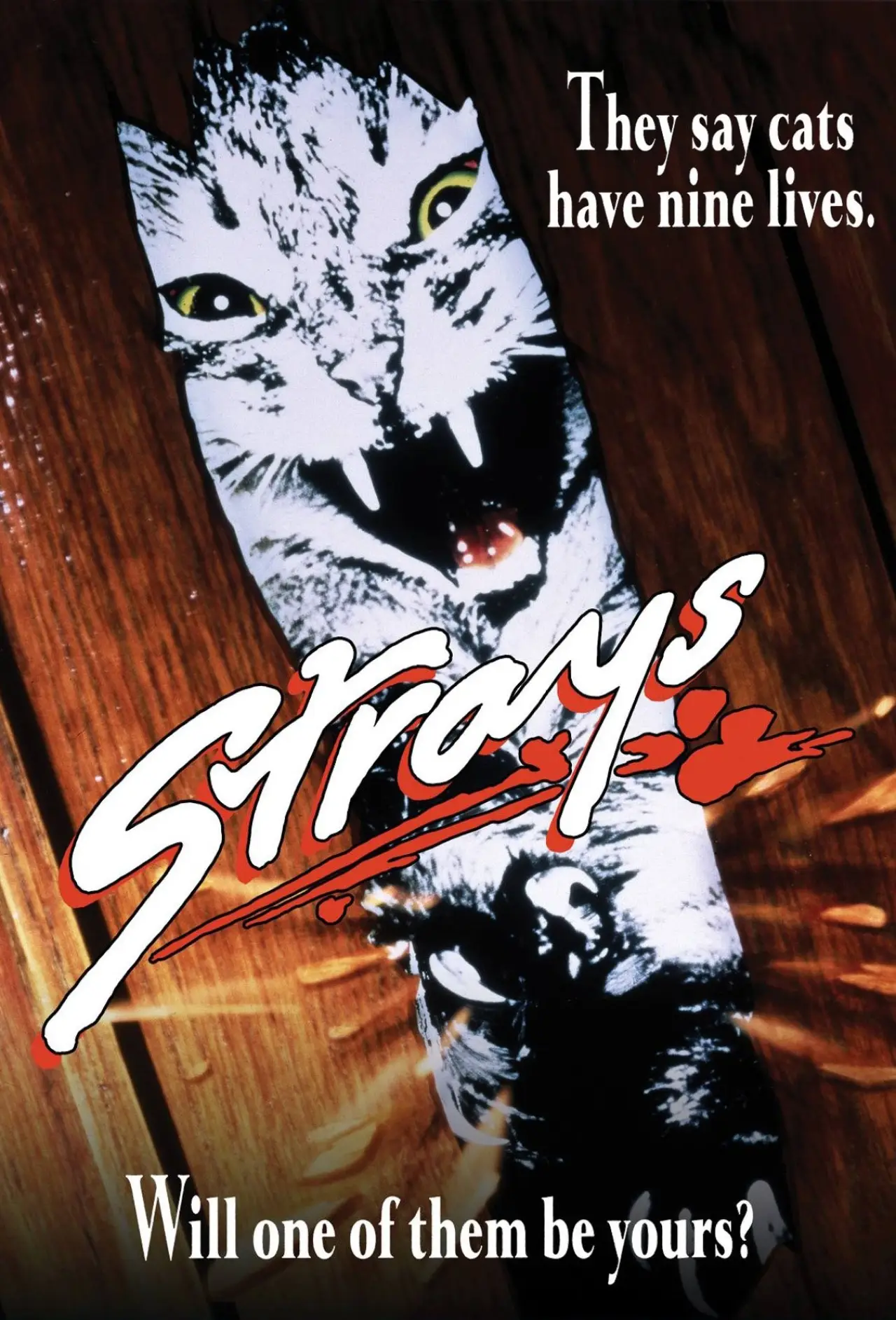 Plakat filmowy "Strays"