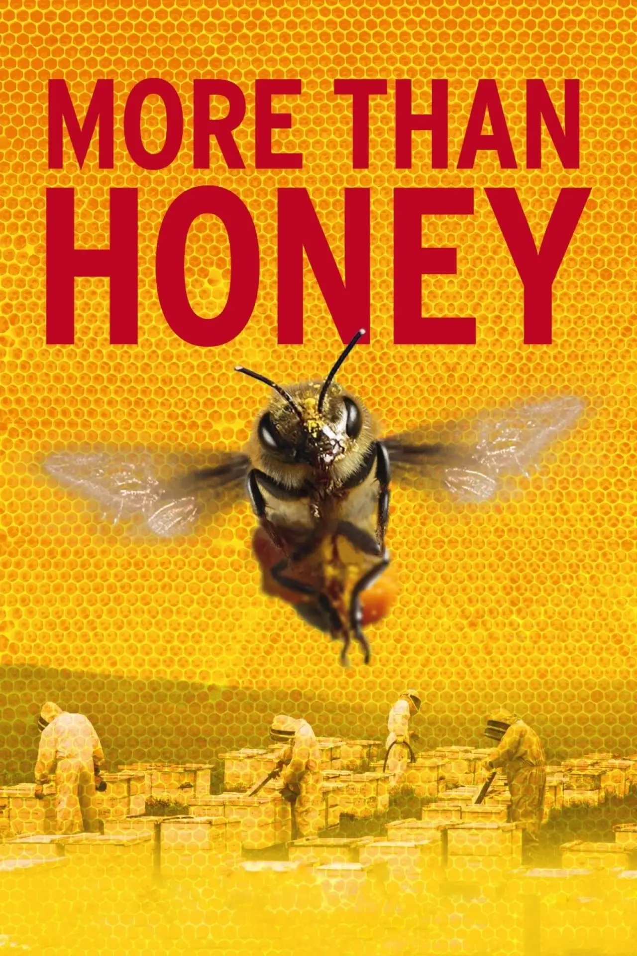 Plakat filmowy "Więcej niż miód"