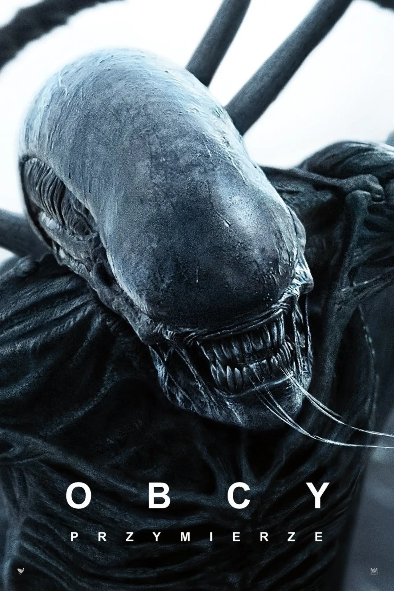 Plakat filmowy "Obcy: Przymierze"