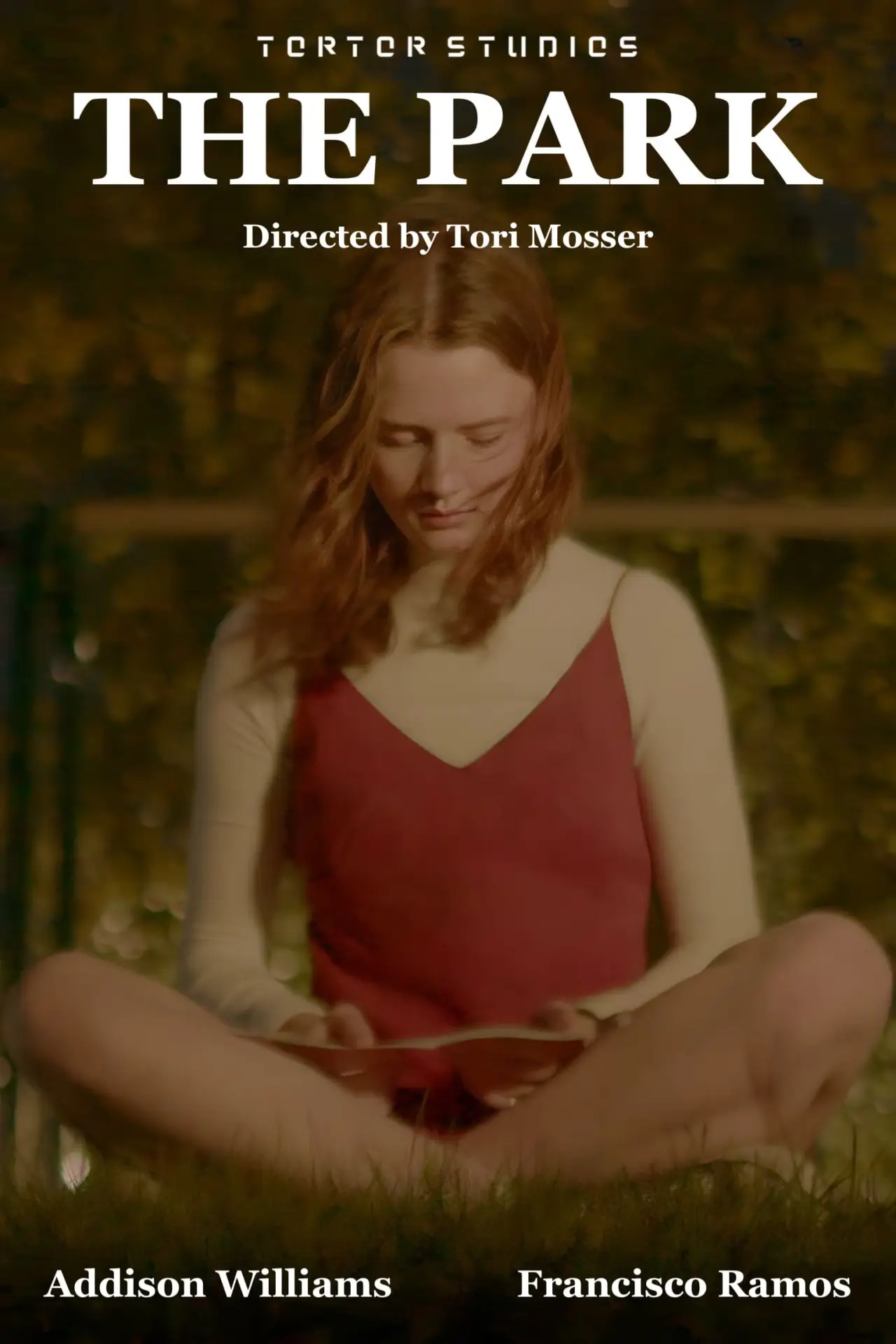 Plakat filmowy "The Park"