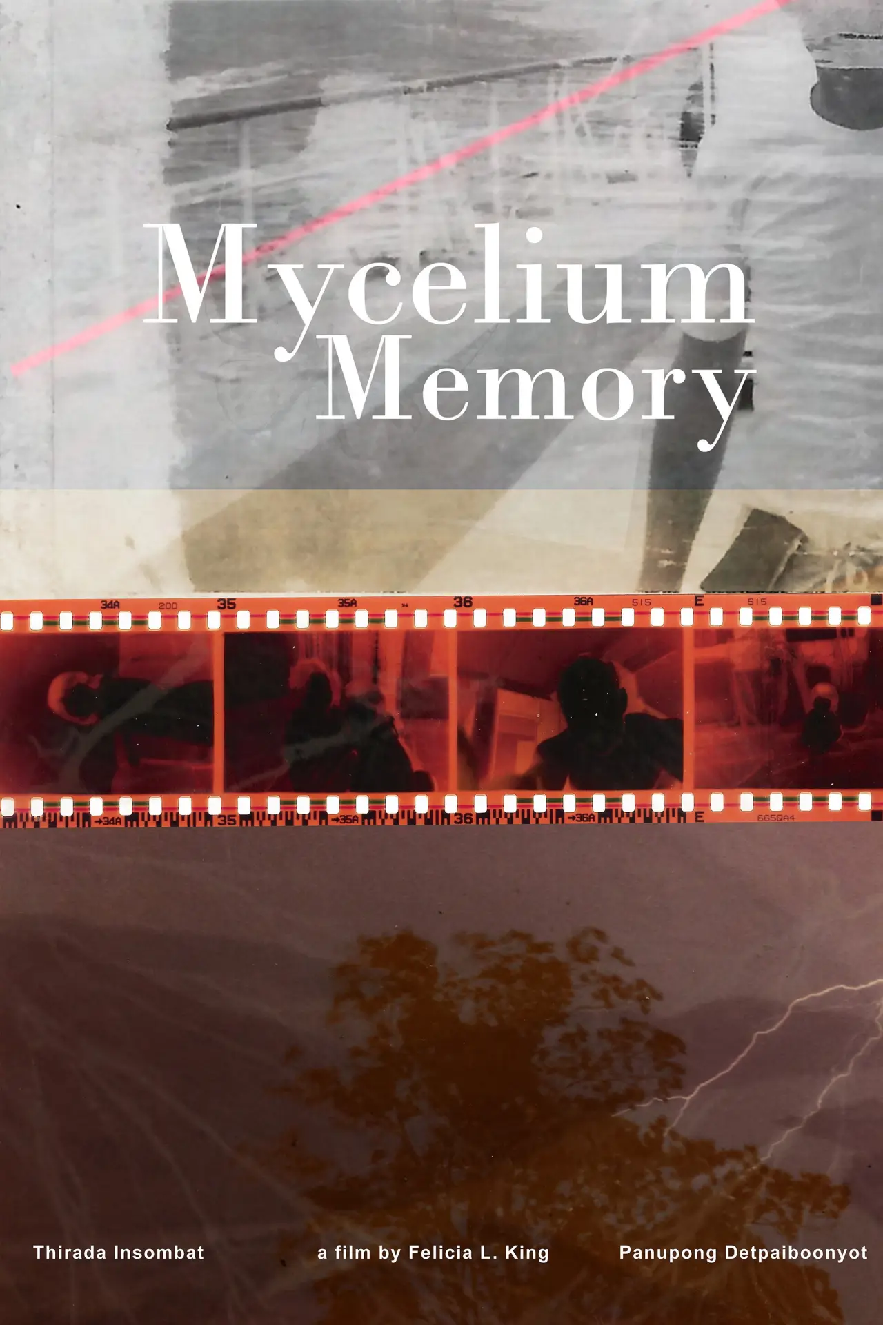 Plakat filmowy "Mycelium Memory"