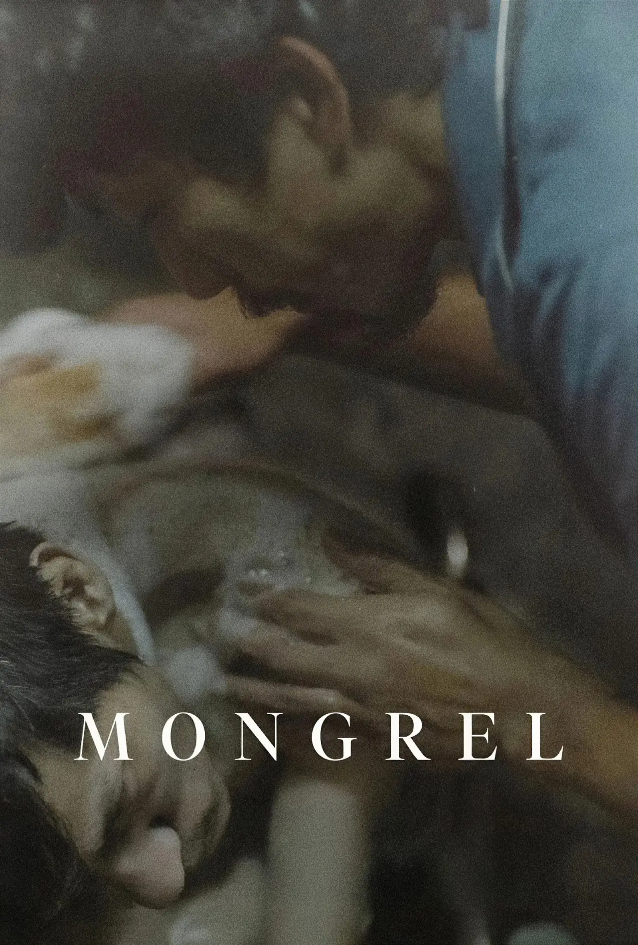 Plakat filmowy "Kundel"