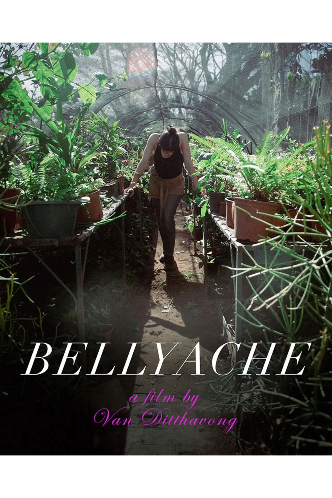 Plakat filmowy "Bellyache"