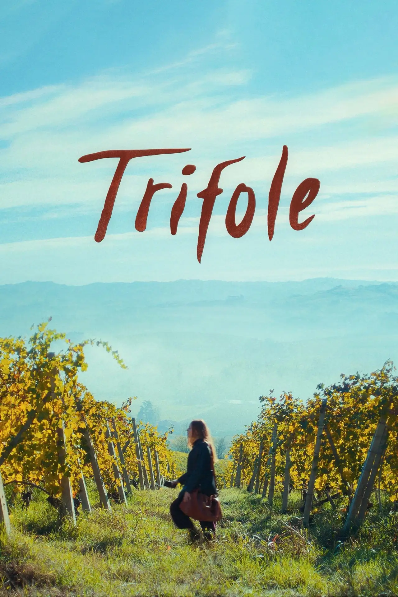 Plakat filmowy "Trifole"