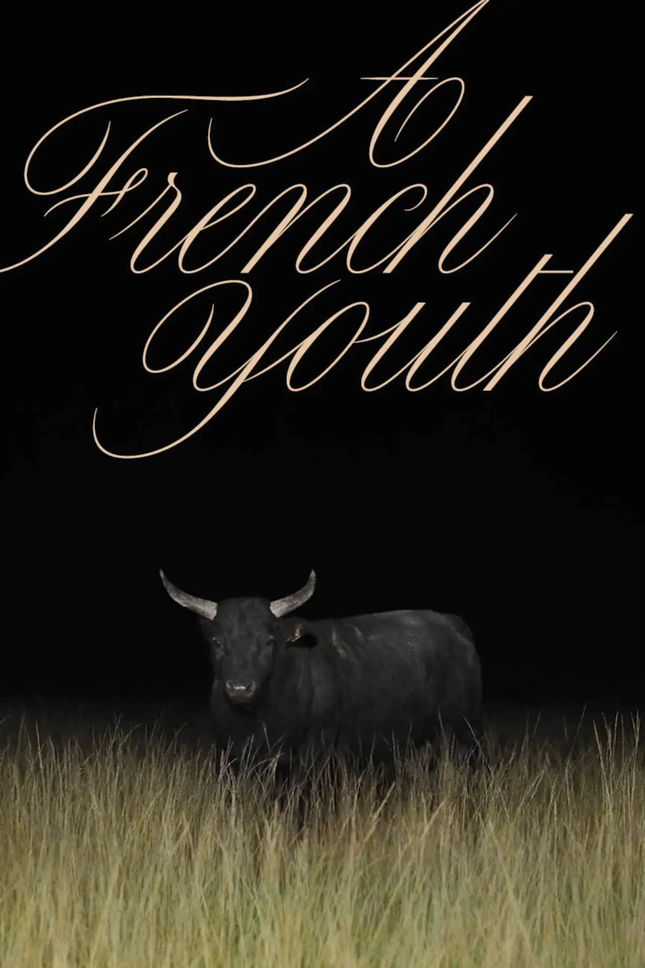 Plakat filmowy "Une jeunesse française"
