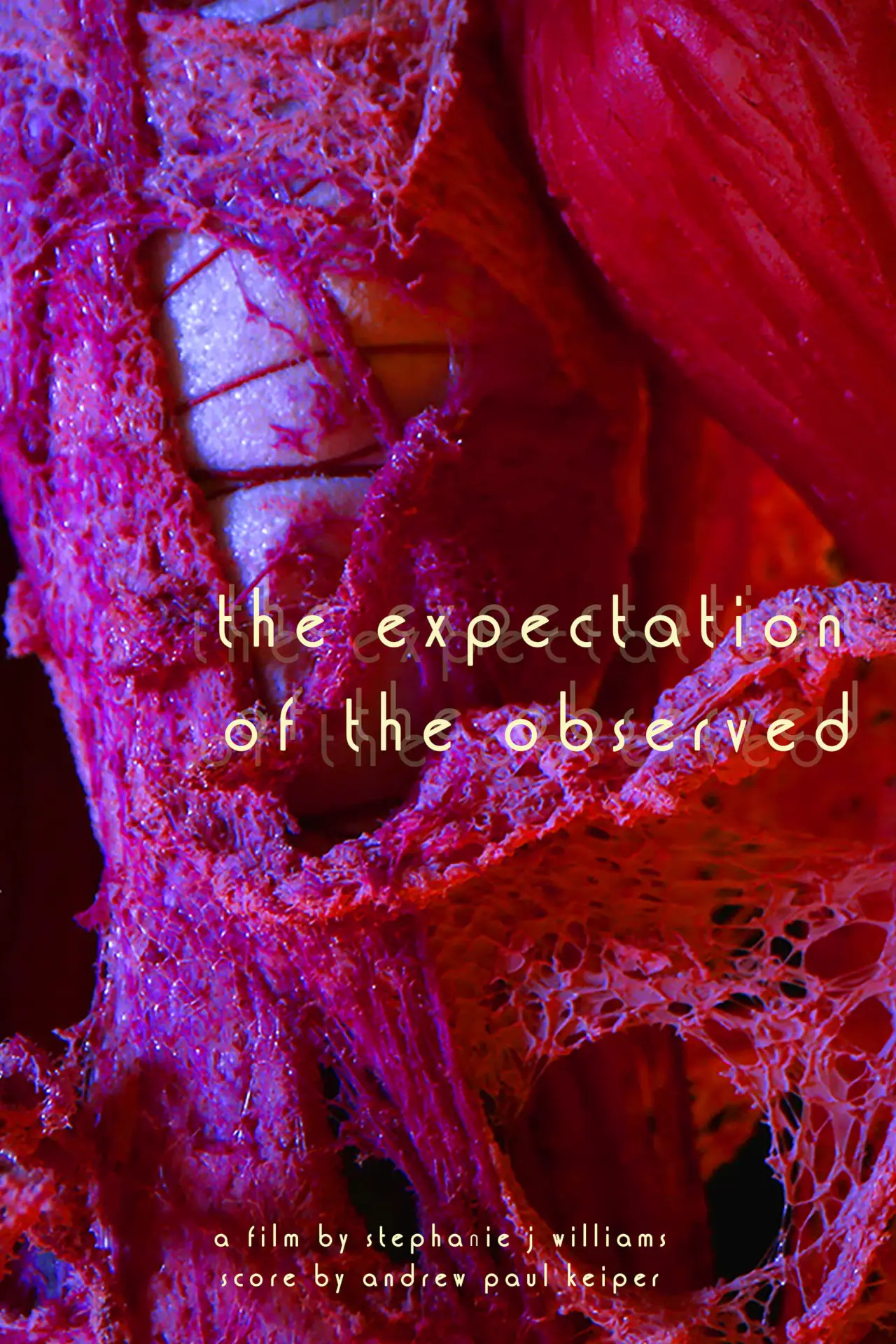 Plakat filmowy "The Expectation of the Observed"
