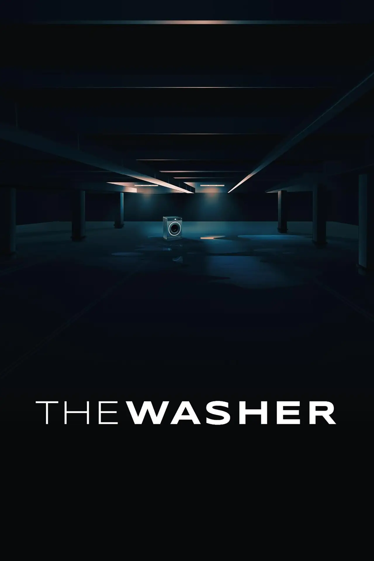 Plakat filmowy "The Washer"