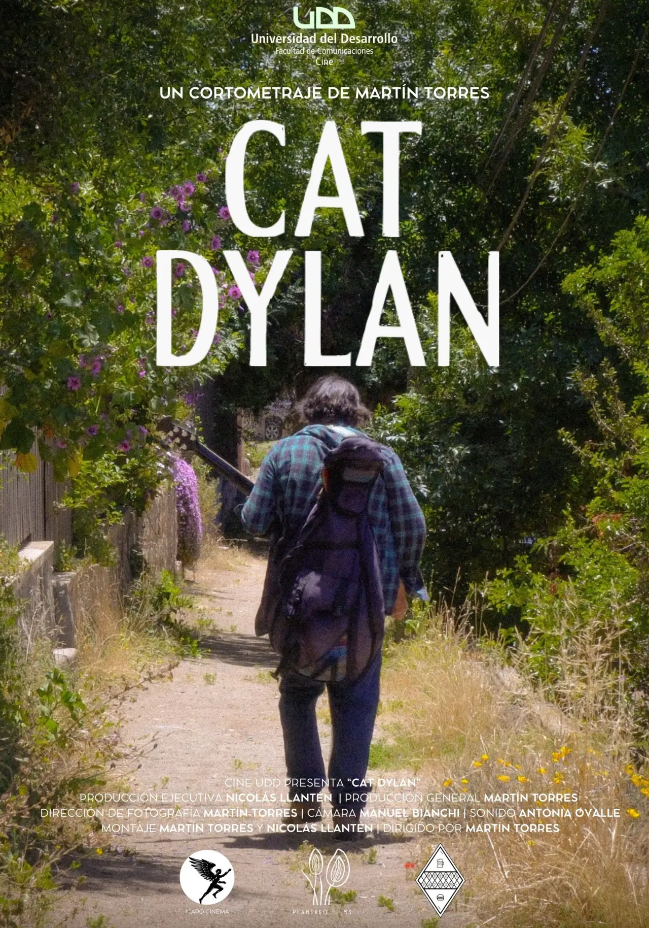Plakat filmowy "Cat Dylan"