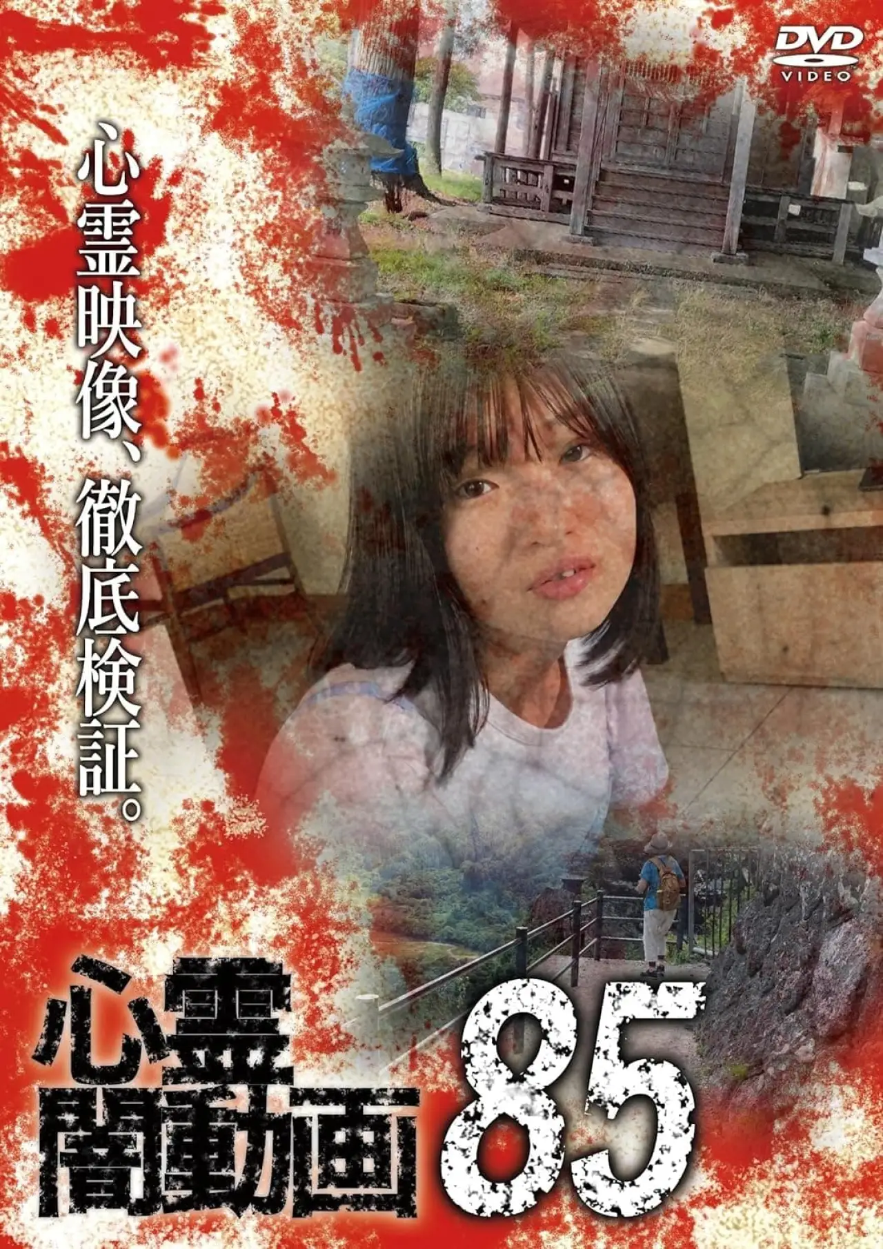 Plakat filmowy "心霊闇動画85"