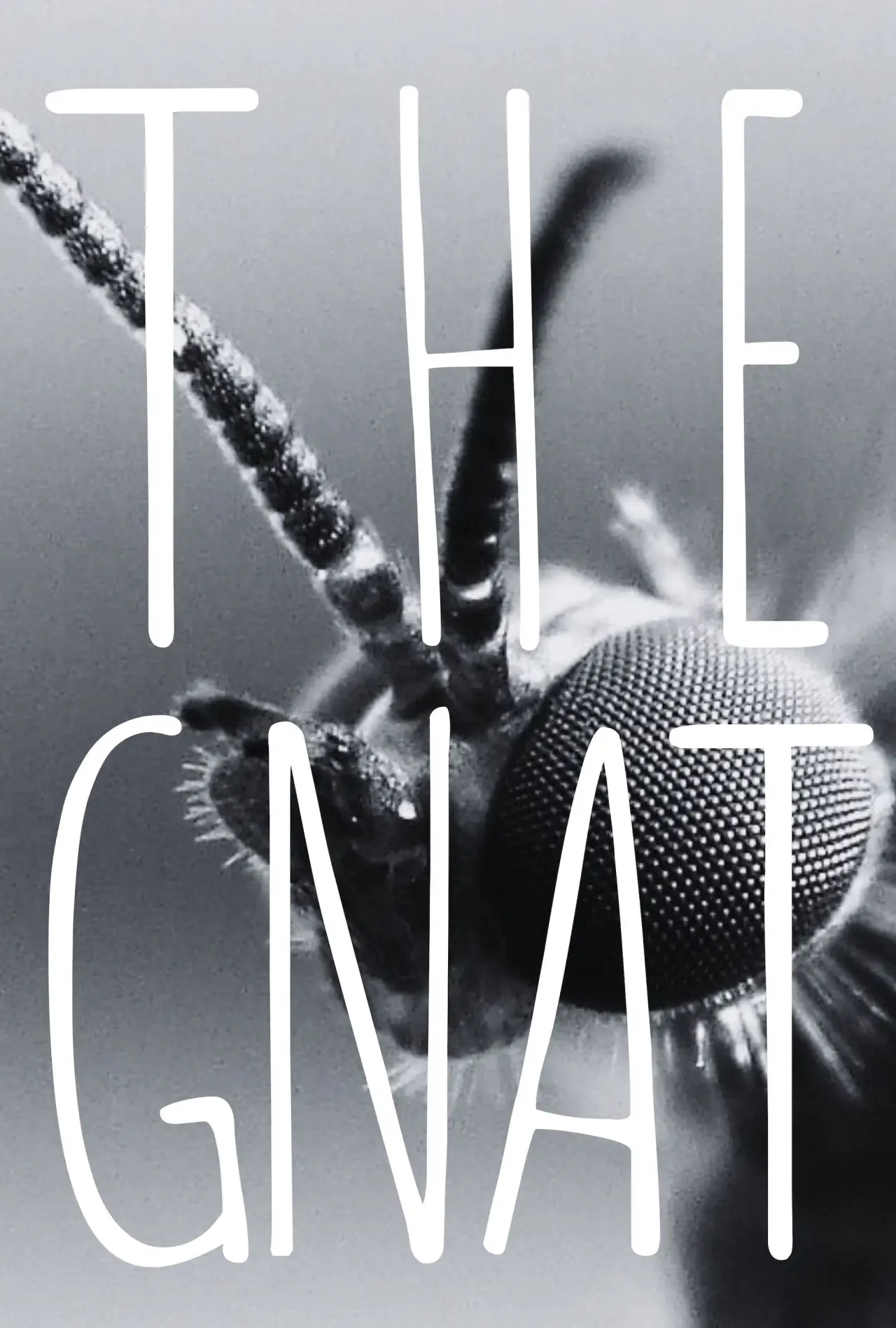 Plakat filmowy "The Gnat"