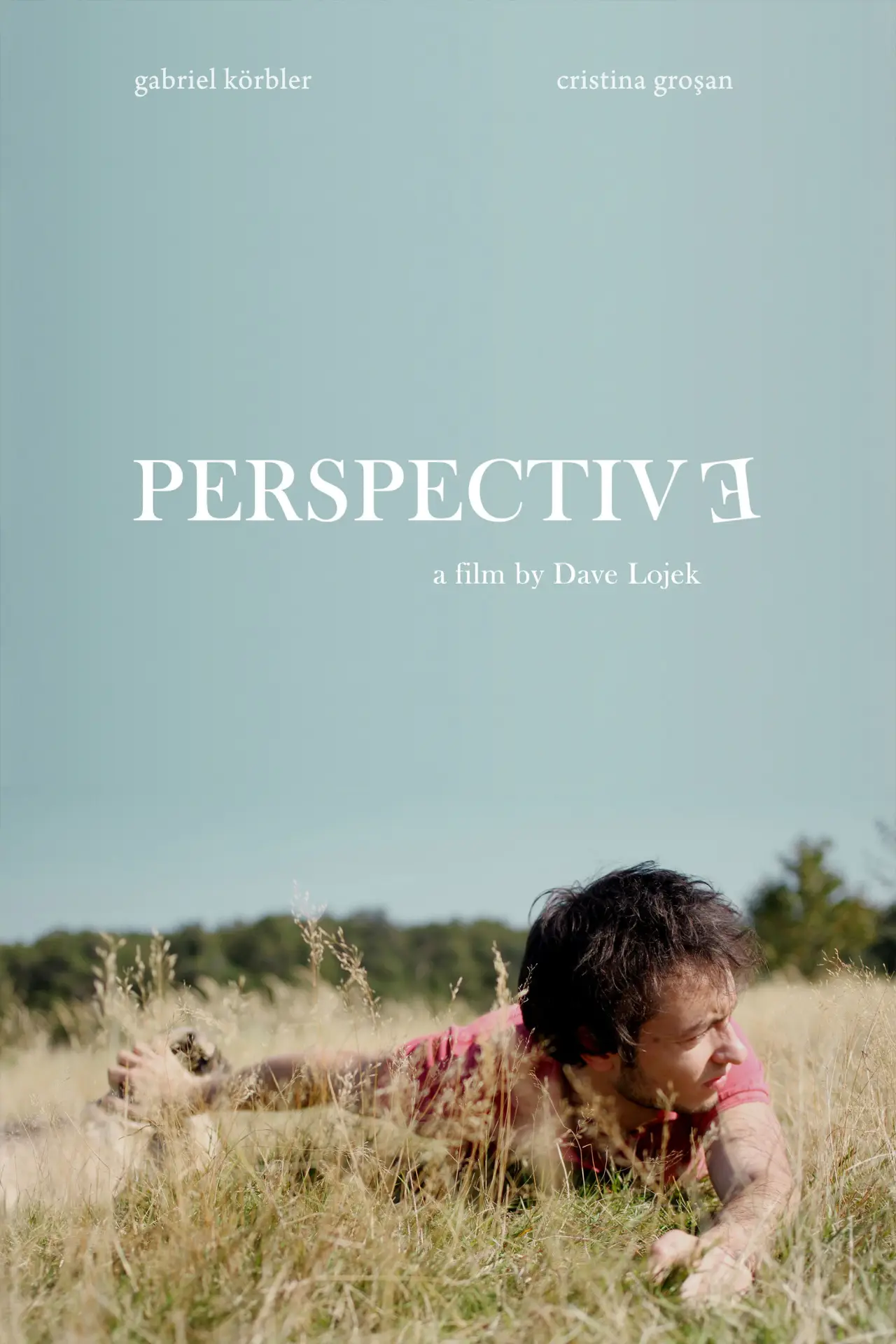 Plakat filmowy "Perspective"