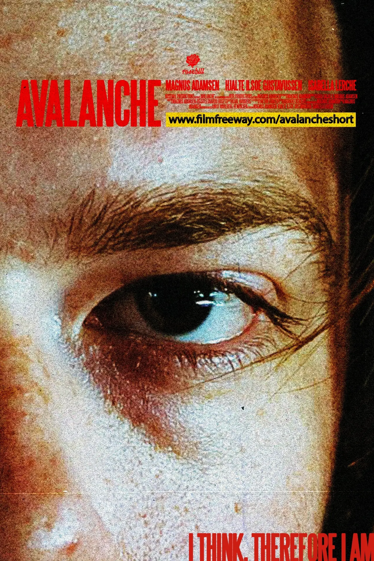 Plakat filmowy "Avalanche"