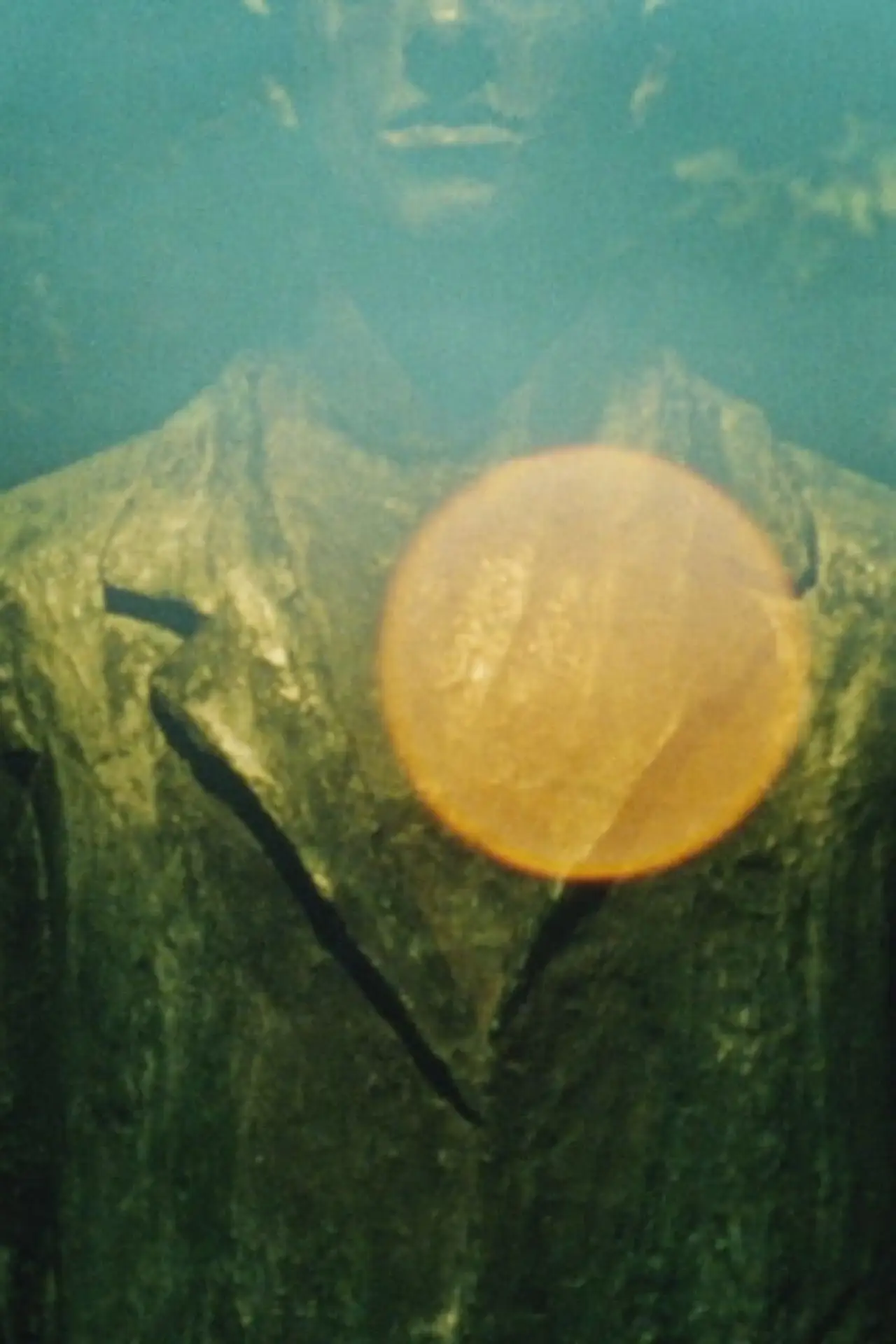 Plakat filmowy "Seasonal Concerns"