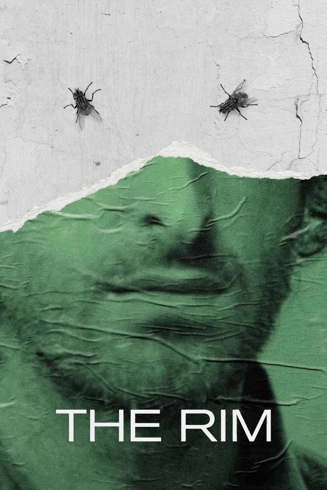 Plakat filmowy "La Parra"