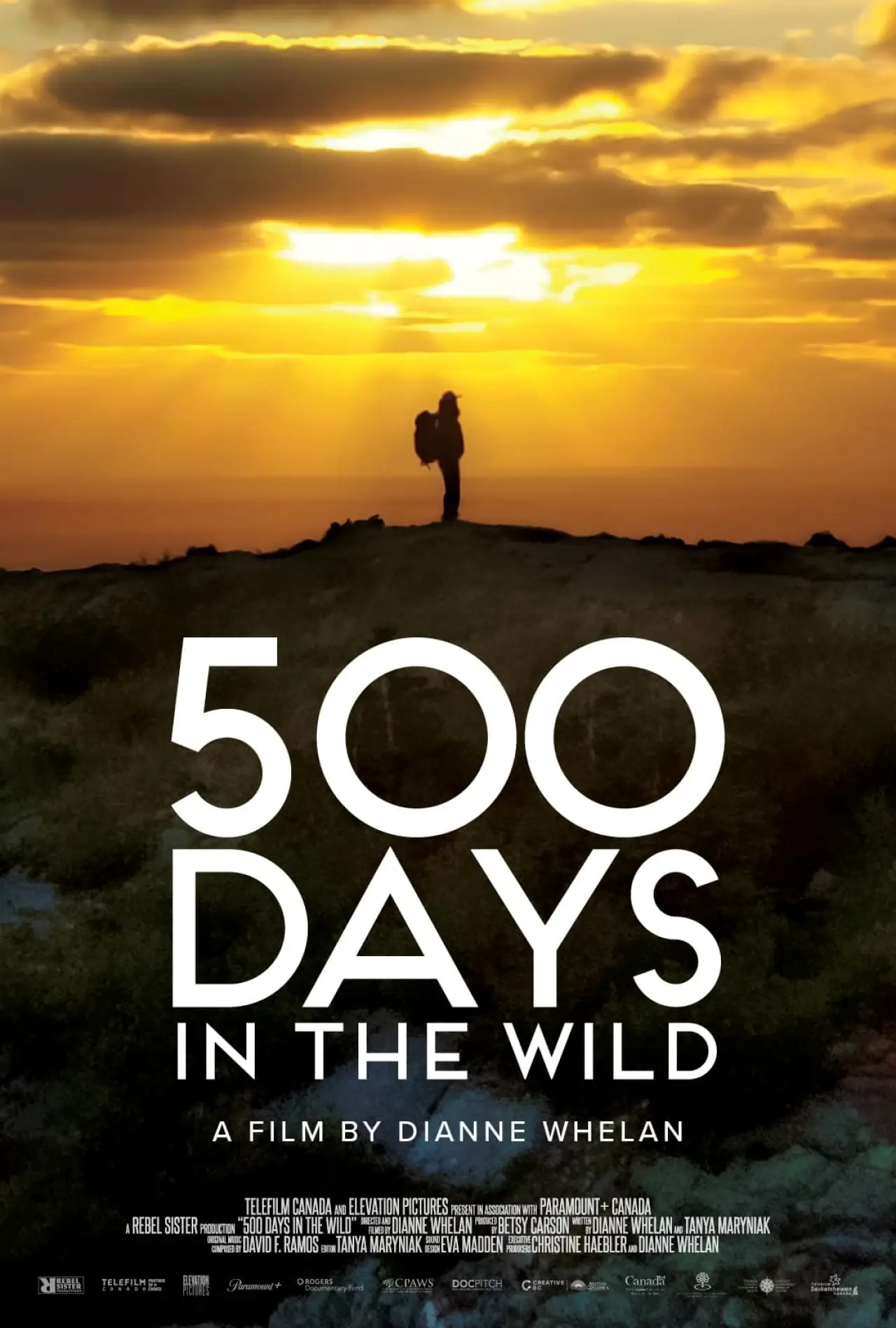 Plakat filmowy "500 Days in the Wild"