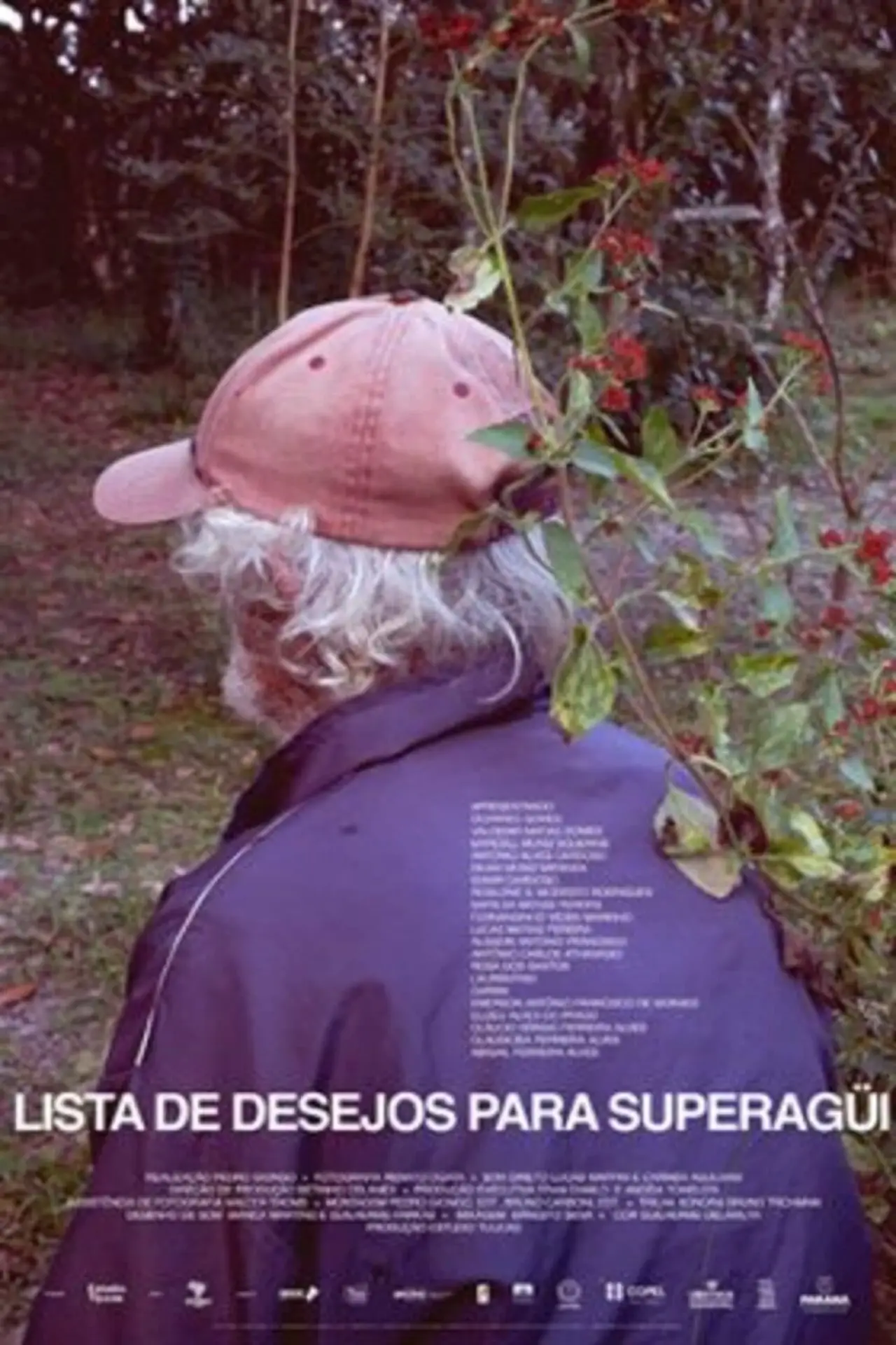 Plakat filmowy "Lista de Desejos para Superagüi"