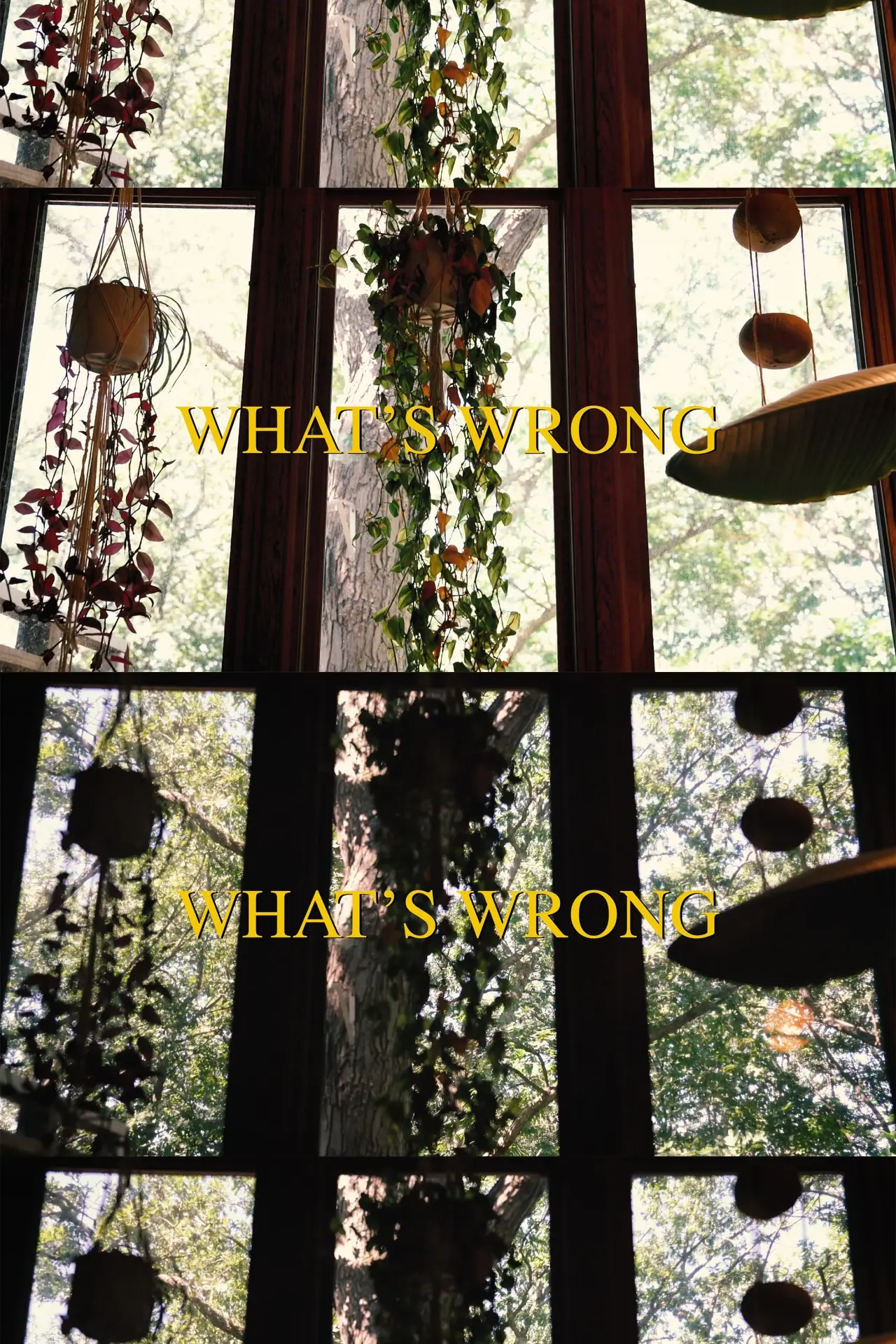 Plakat filmowy "What