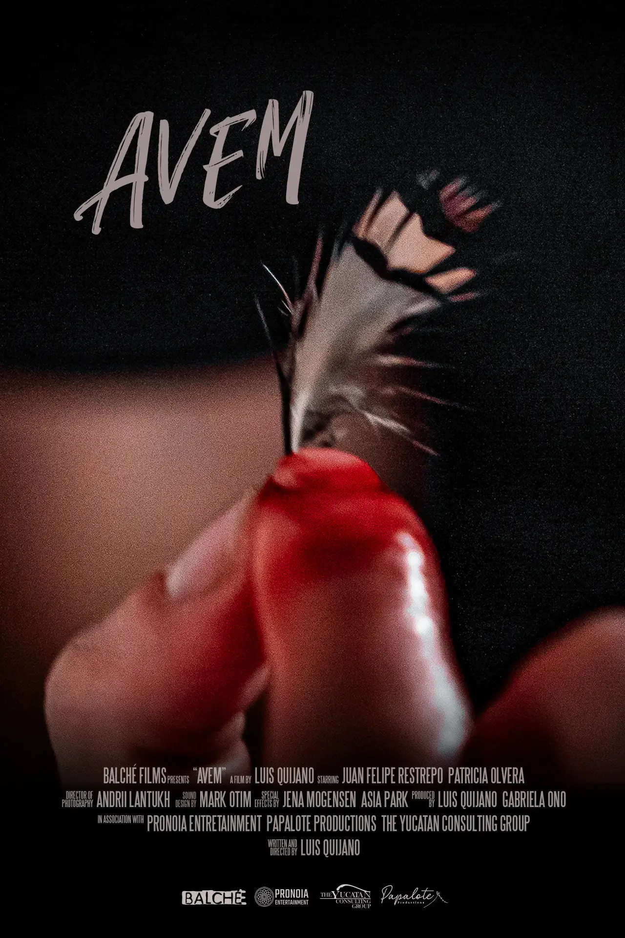 Plakat filmowy "Avem"