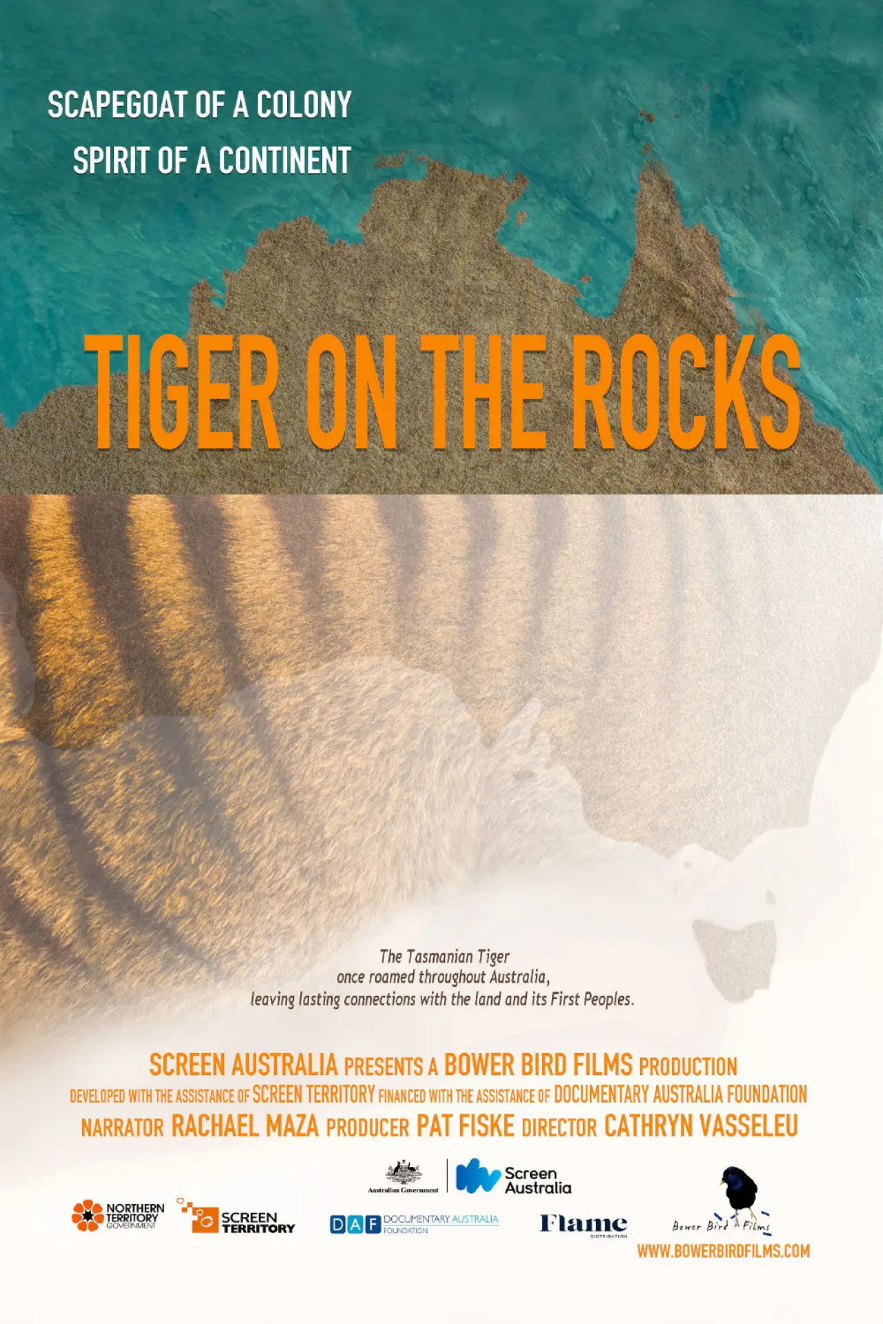 Plakat filmowy "Tiger on the Rocks"
