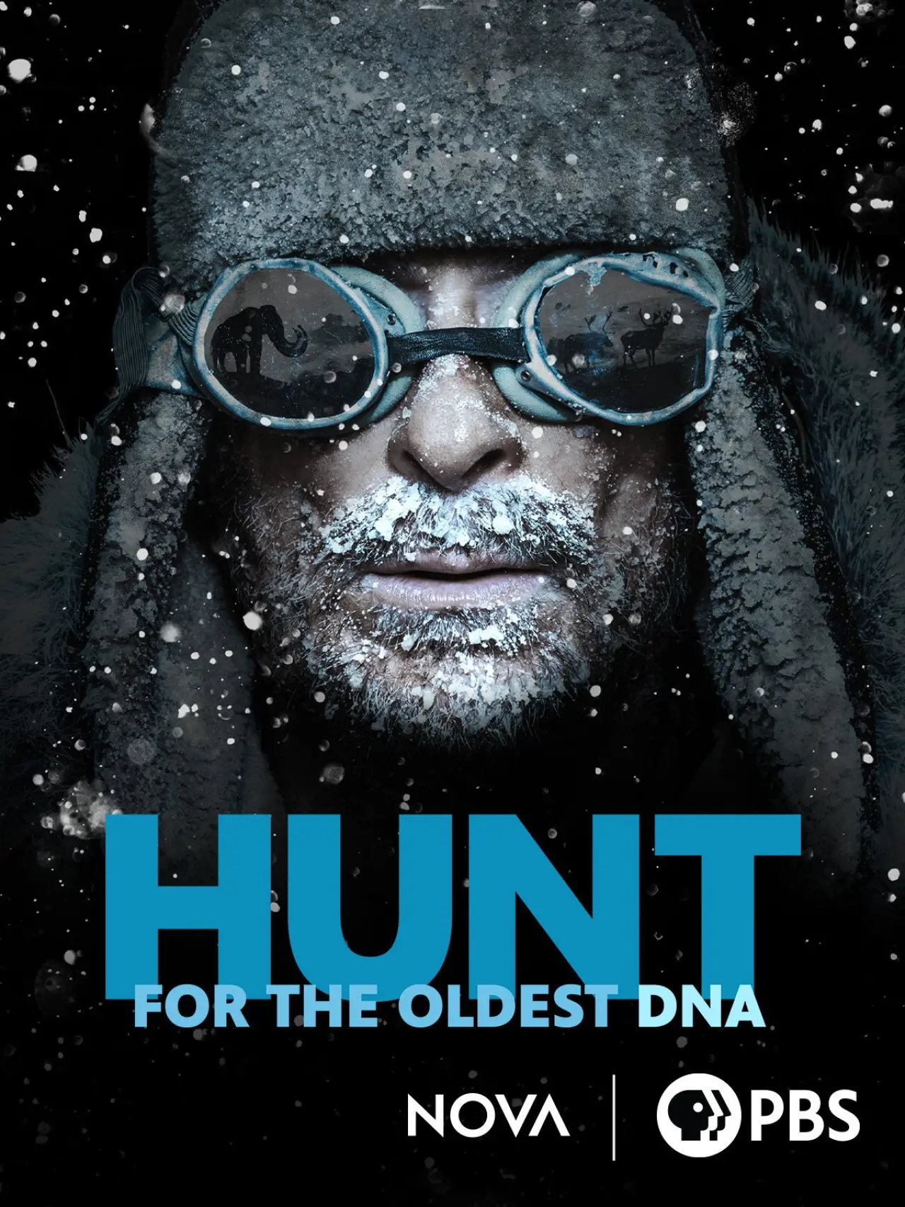Plakat filmowy "The Hunt for the Oldest DNA"