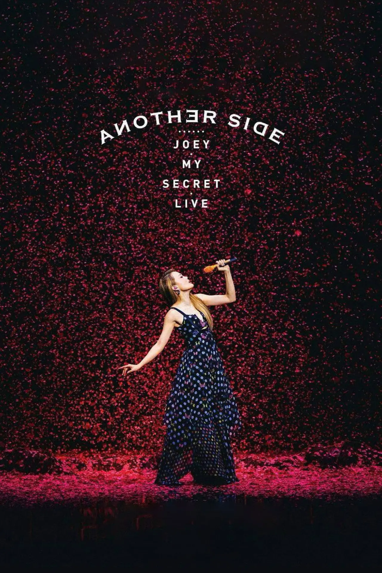 Plakat filmowy "Another Side Joey My Secret Live"