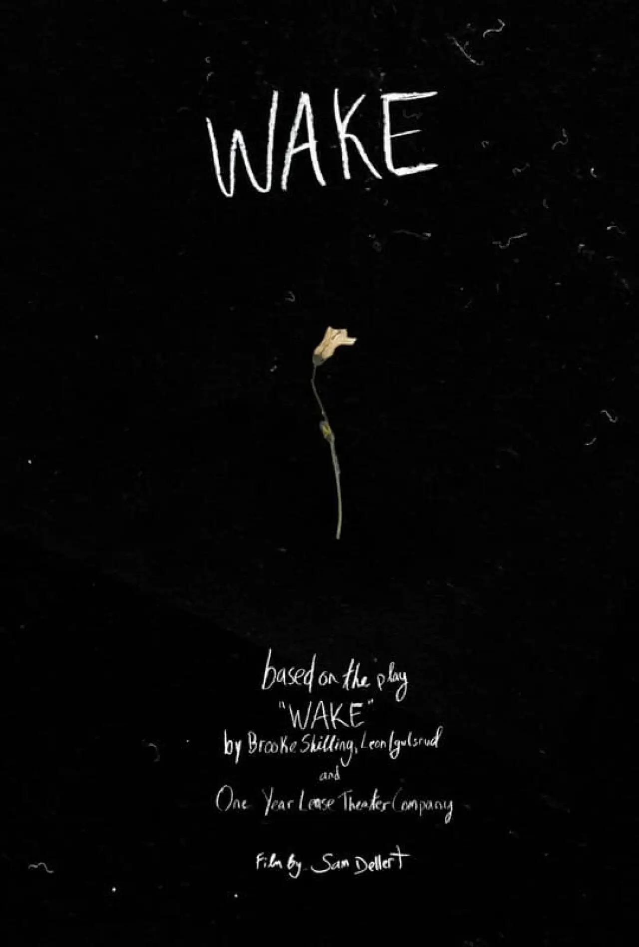Plakat filmowy "Wake"