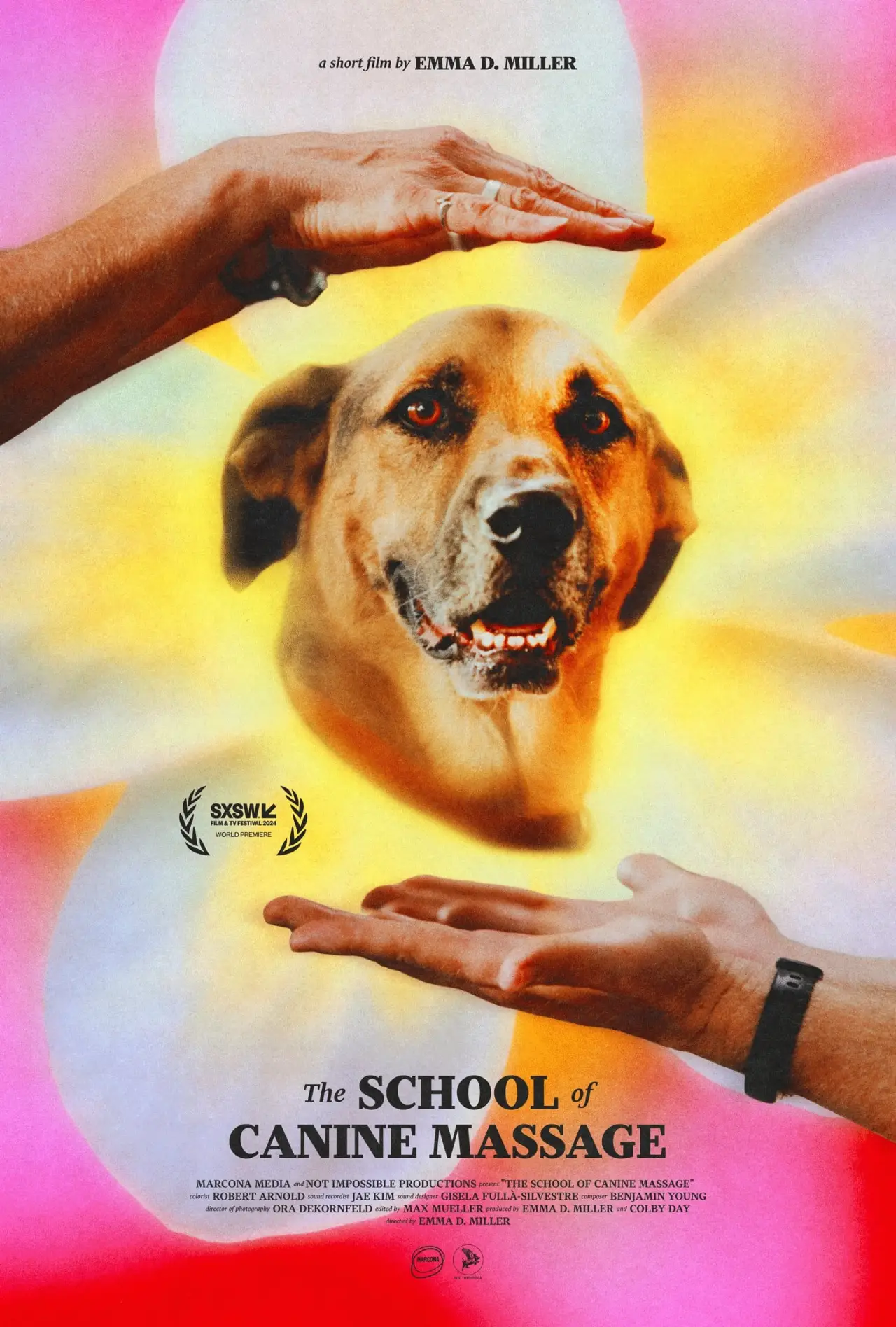 Plakat filmowy "The School of Canine Massage"