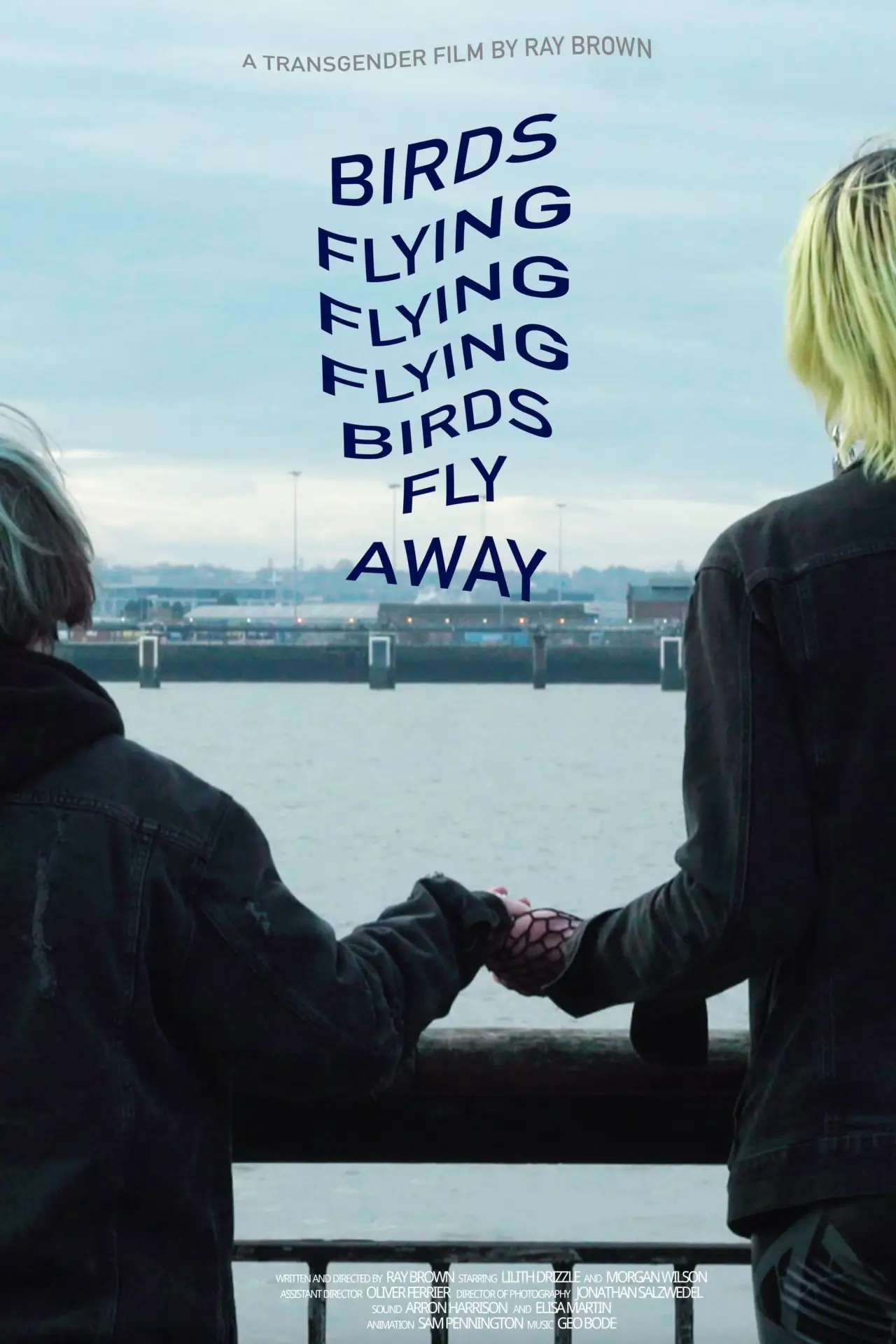 Plakat filmowy "Birds Flying Flying Flying Birds Fly Away"