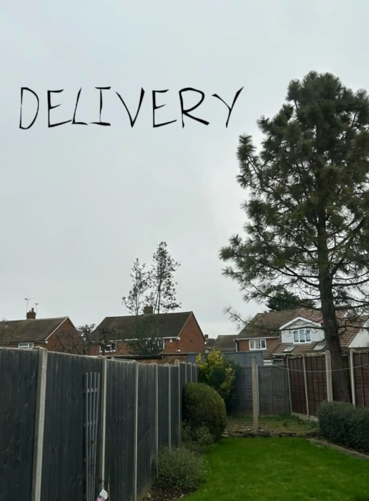 Plakat filmowy "Delivery"