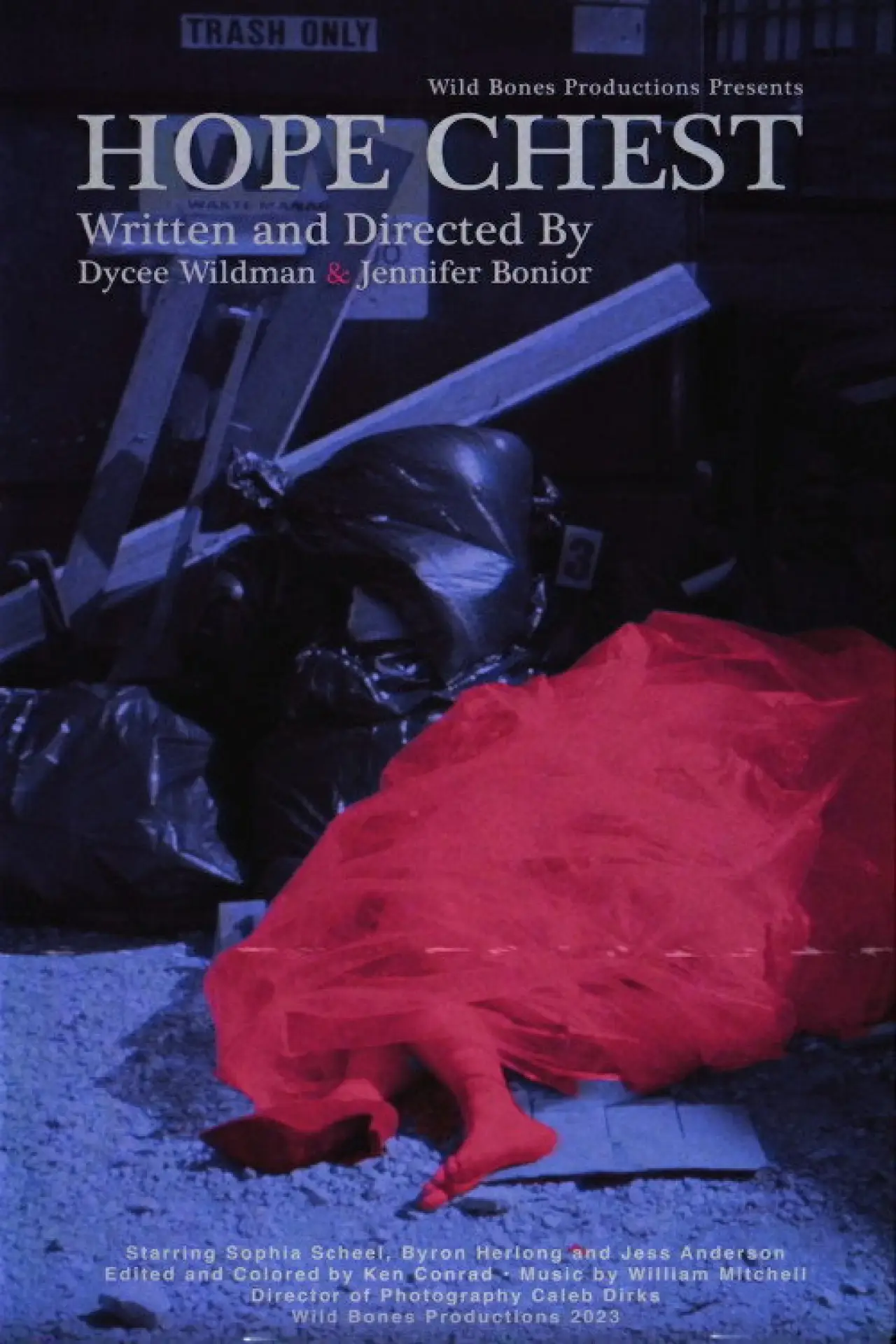 Plakat filmowy "Hope Chest"