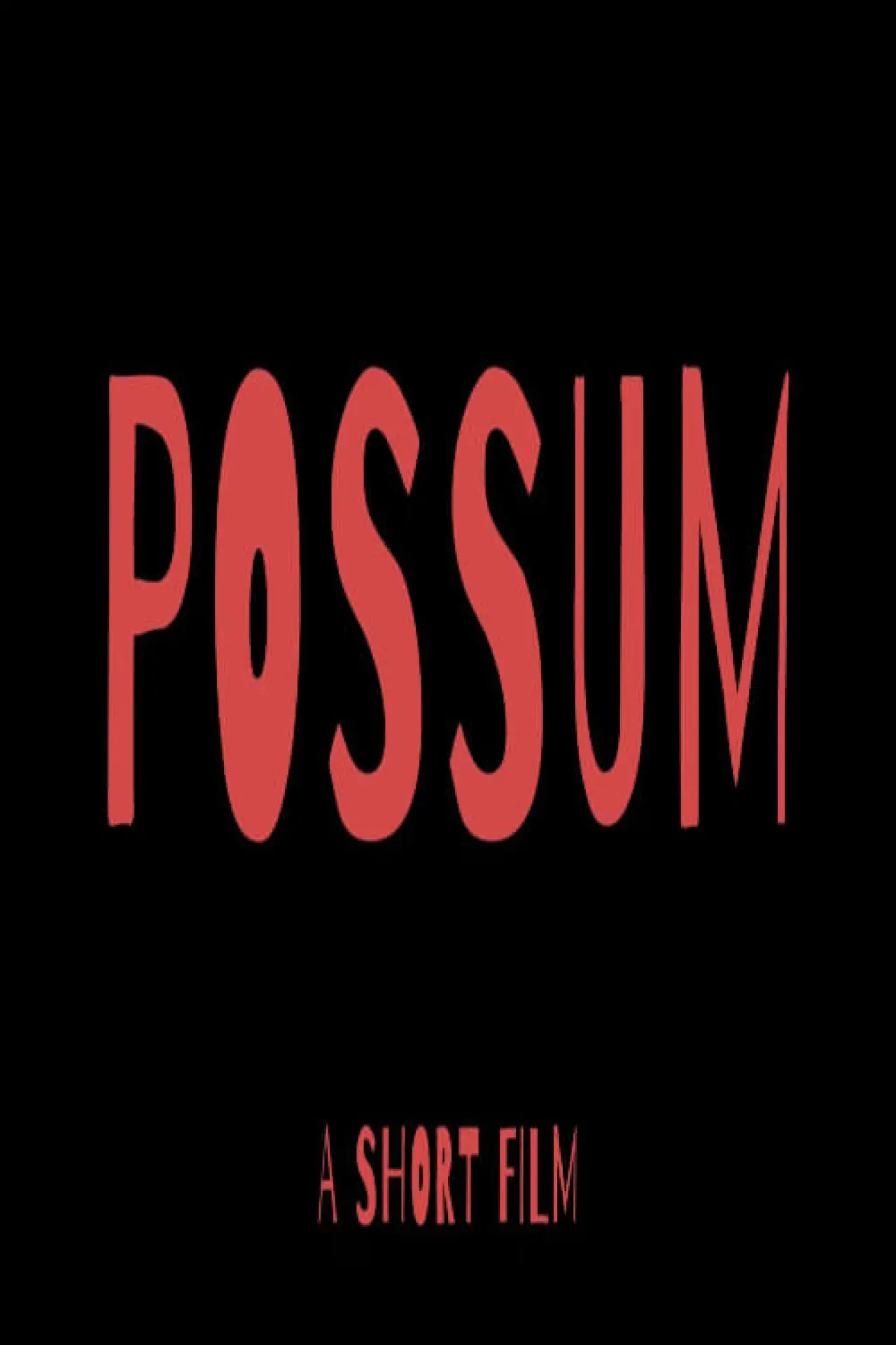 Plakat filmowy "POSSUM"