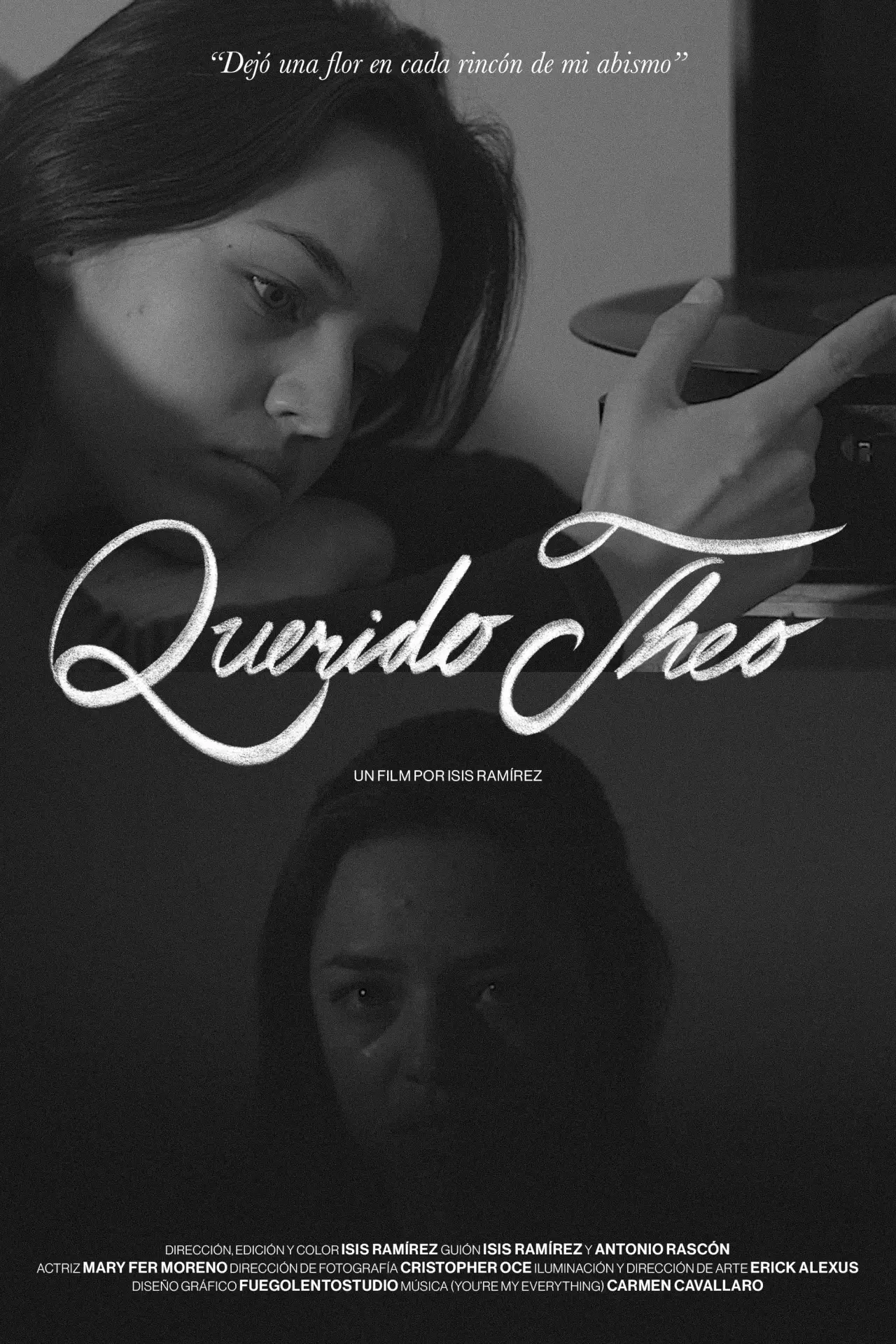 Plakat filmowy "Querido Theo"