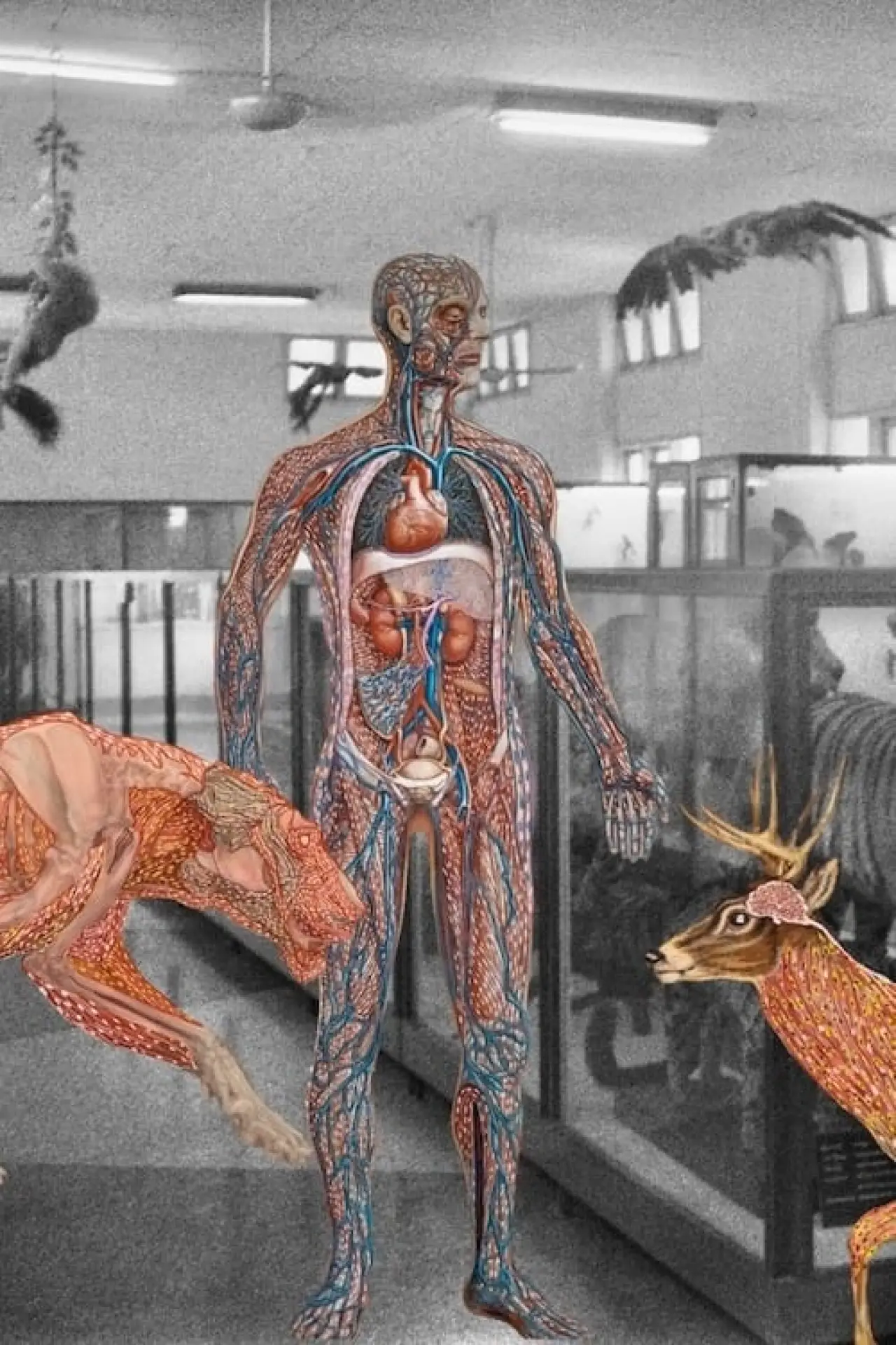 Plakat filmowy "Myanmar Anatomy"